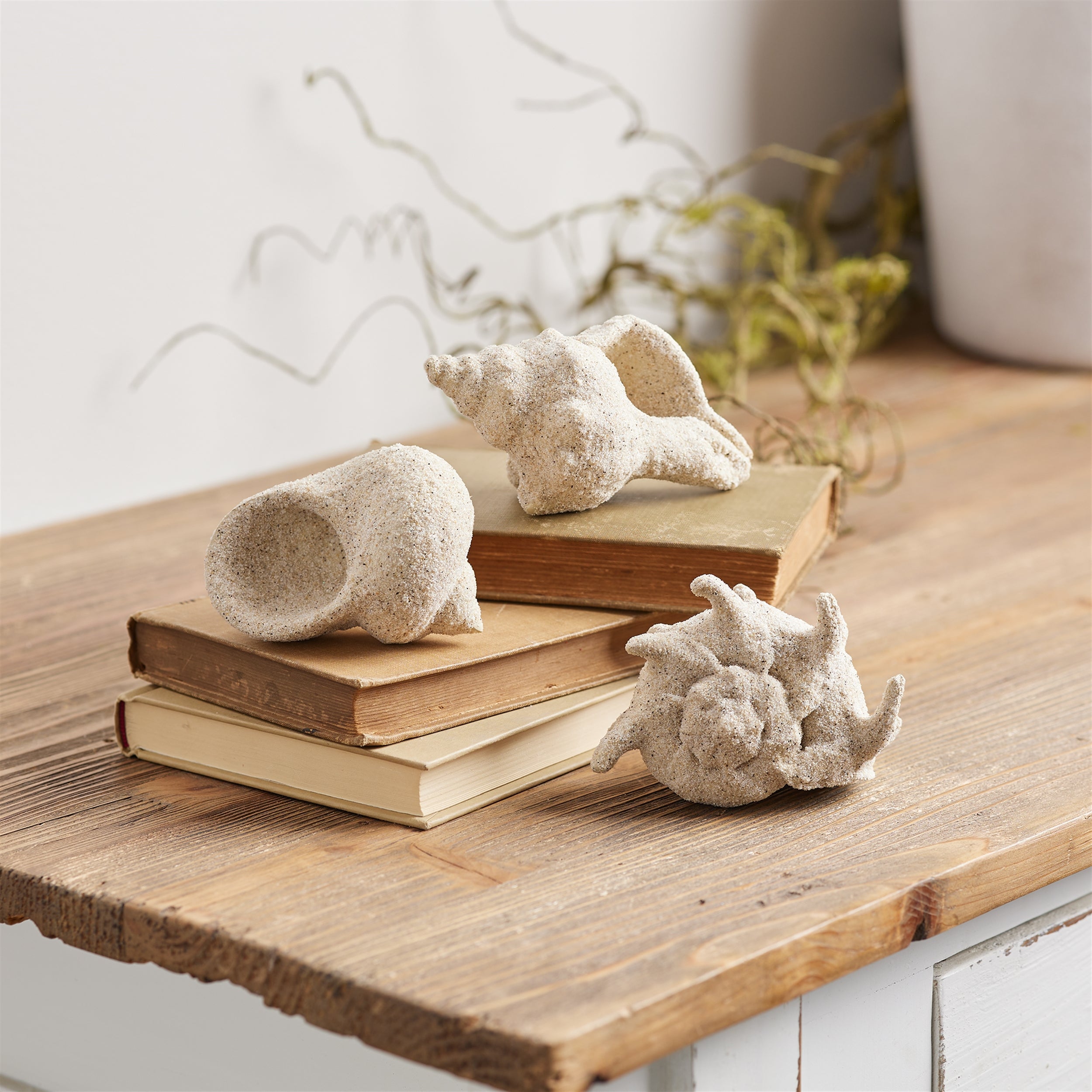 Sea Shell Filler Decor, Set of 12