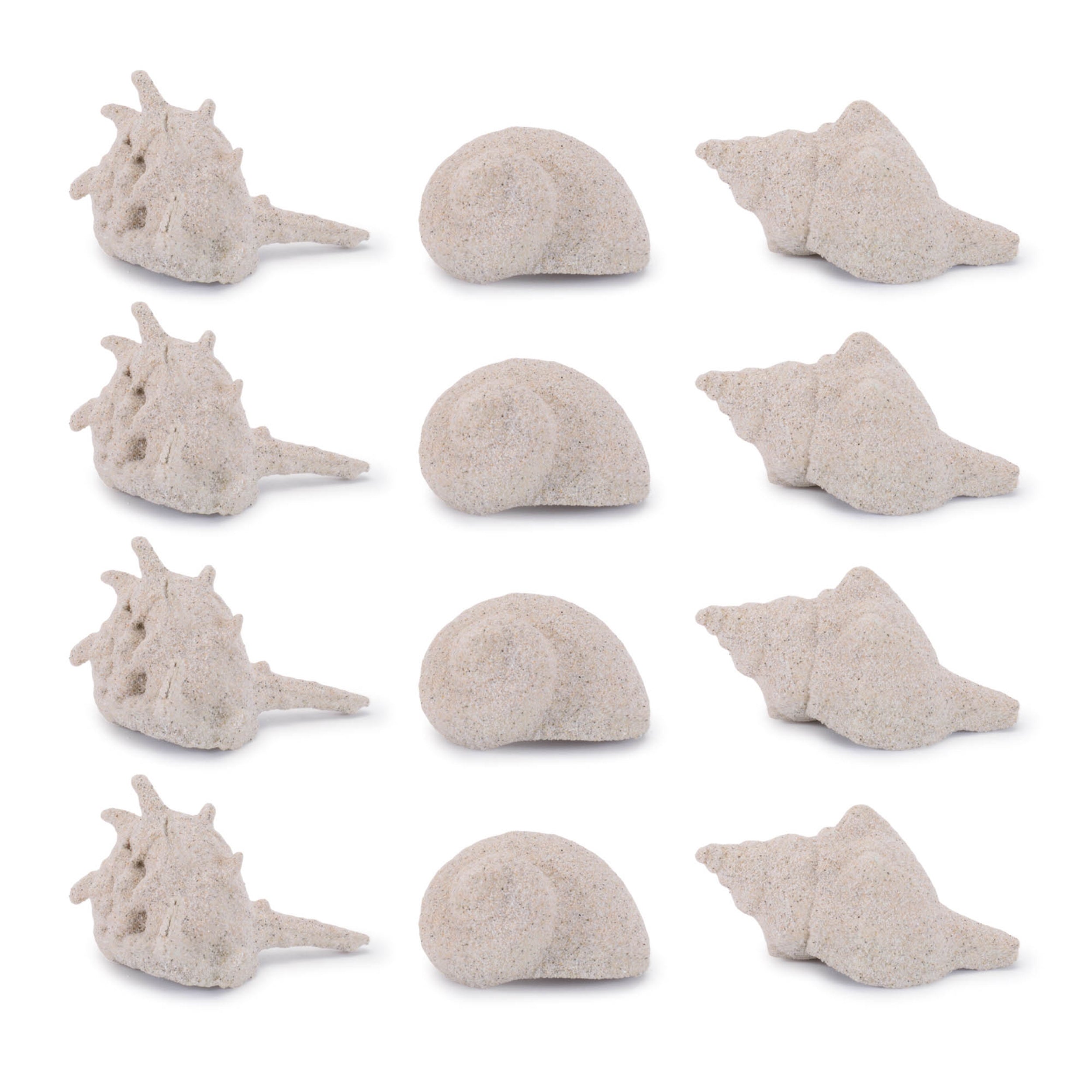 Sea Shell Filler Decor, Set of 12