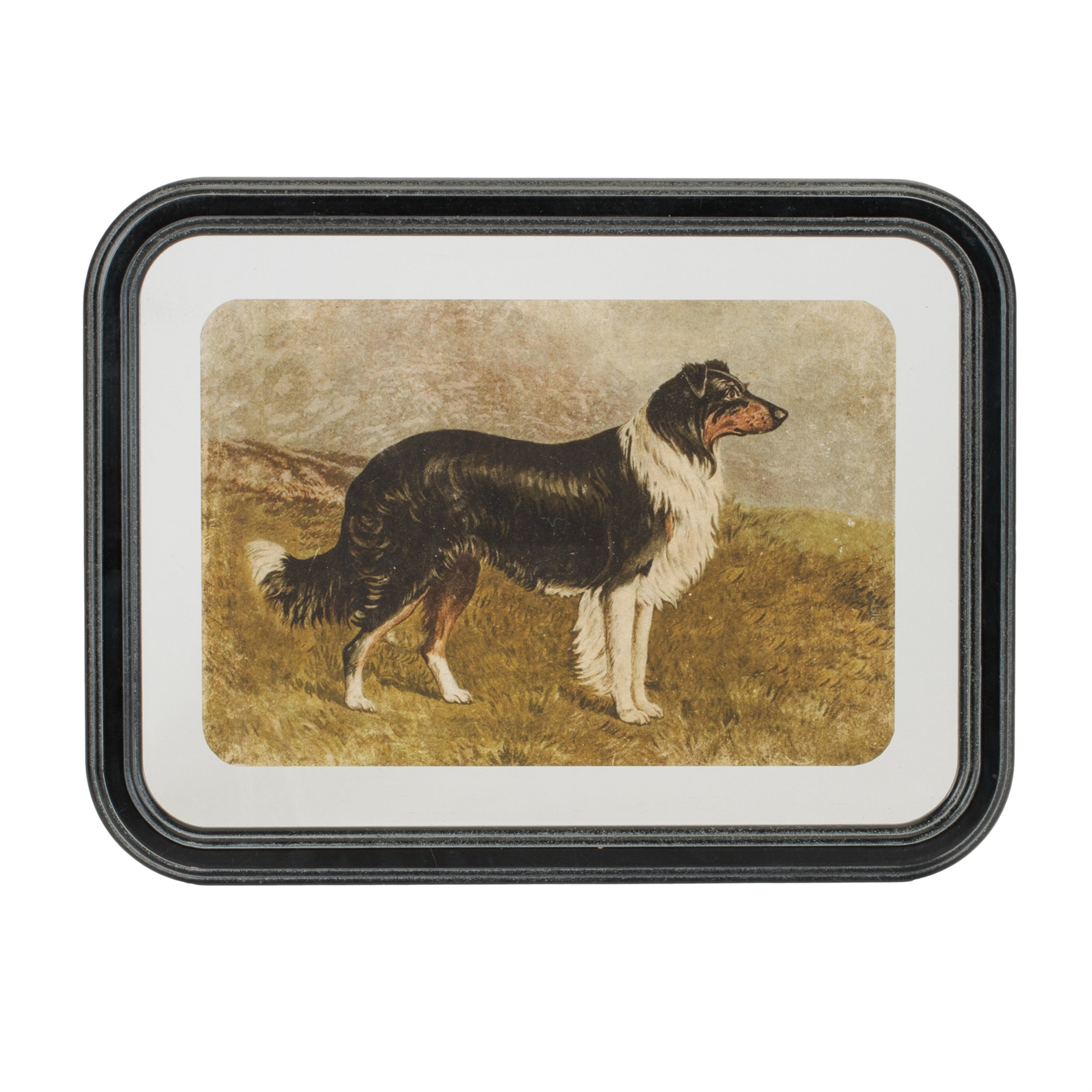 Framed Country Dog Print, Set of 2