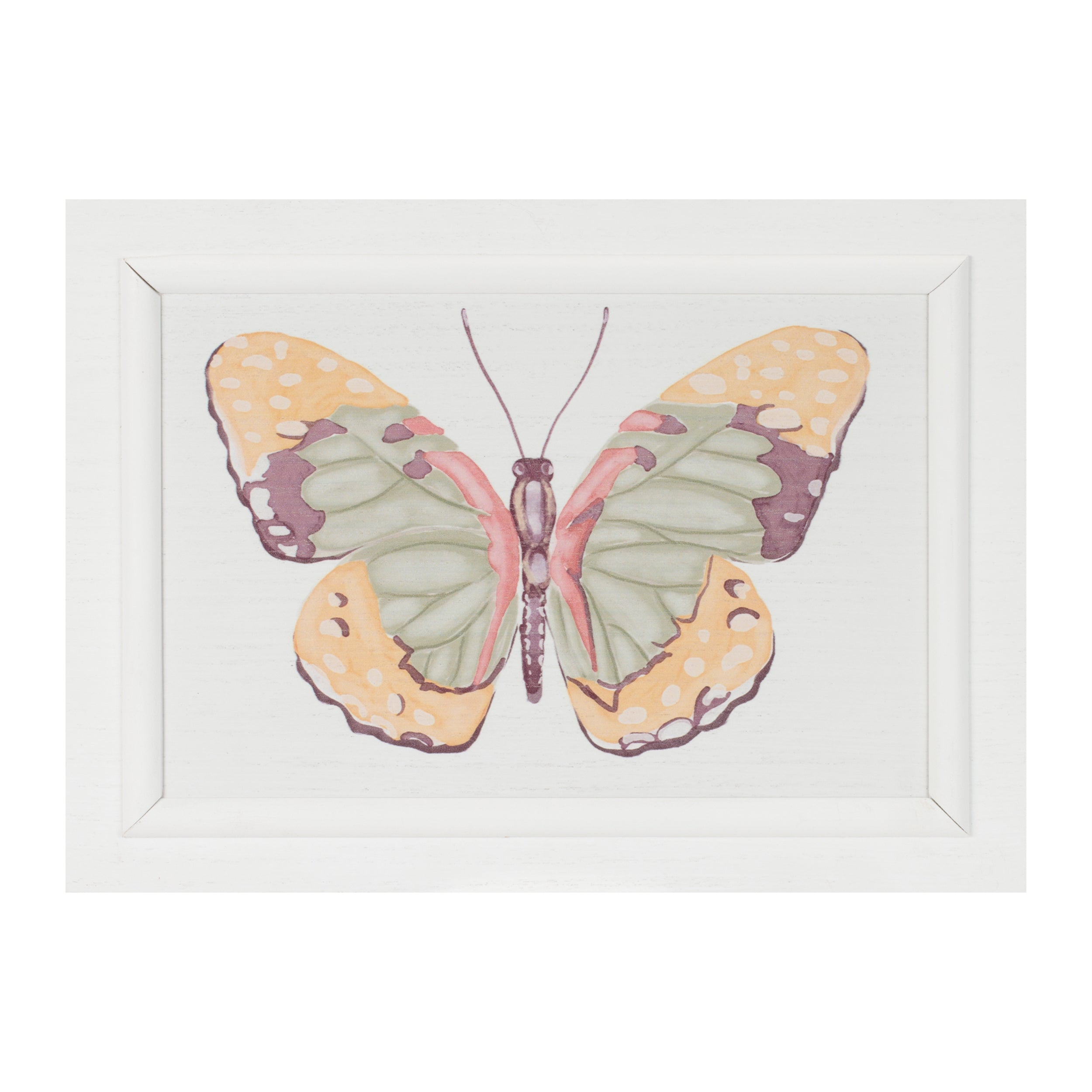 Framed Bird and Butterfly Wall Plaque, Set of 2