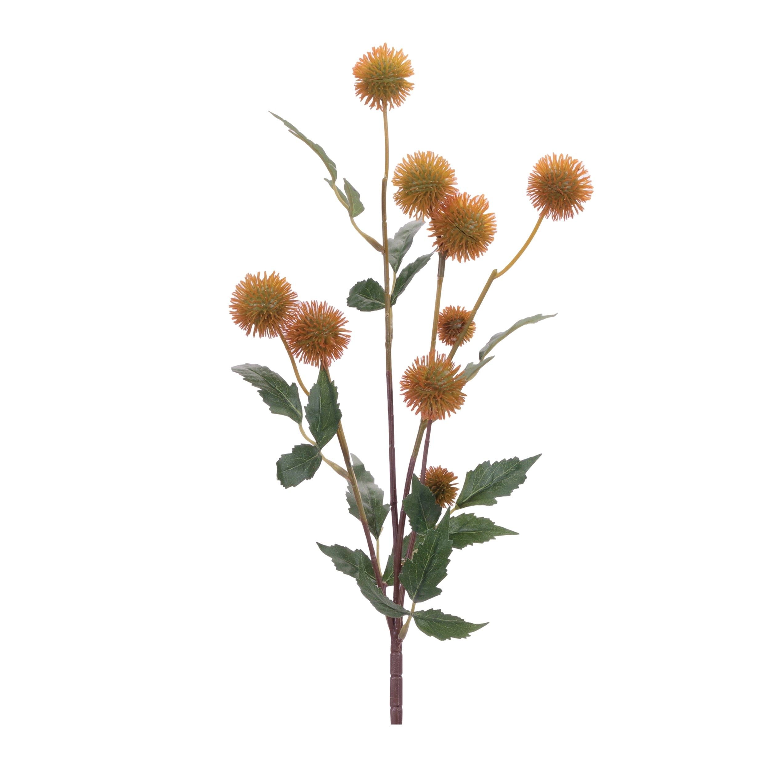 Thistle Pod Branch, Set of 6