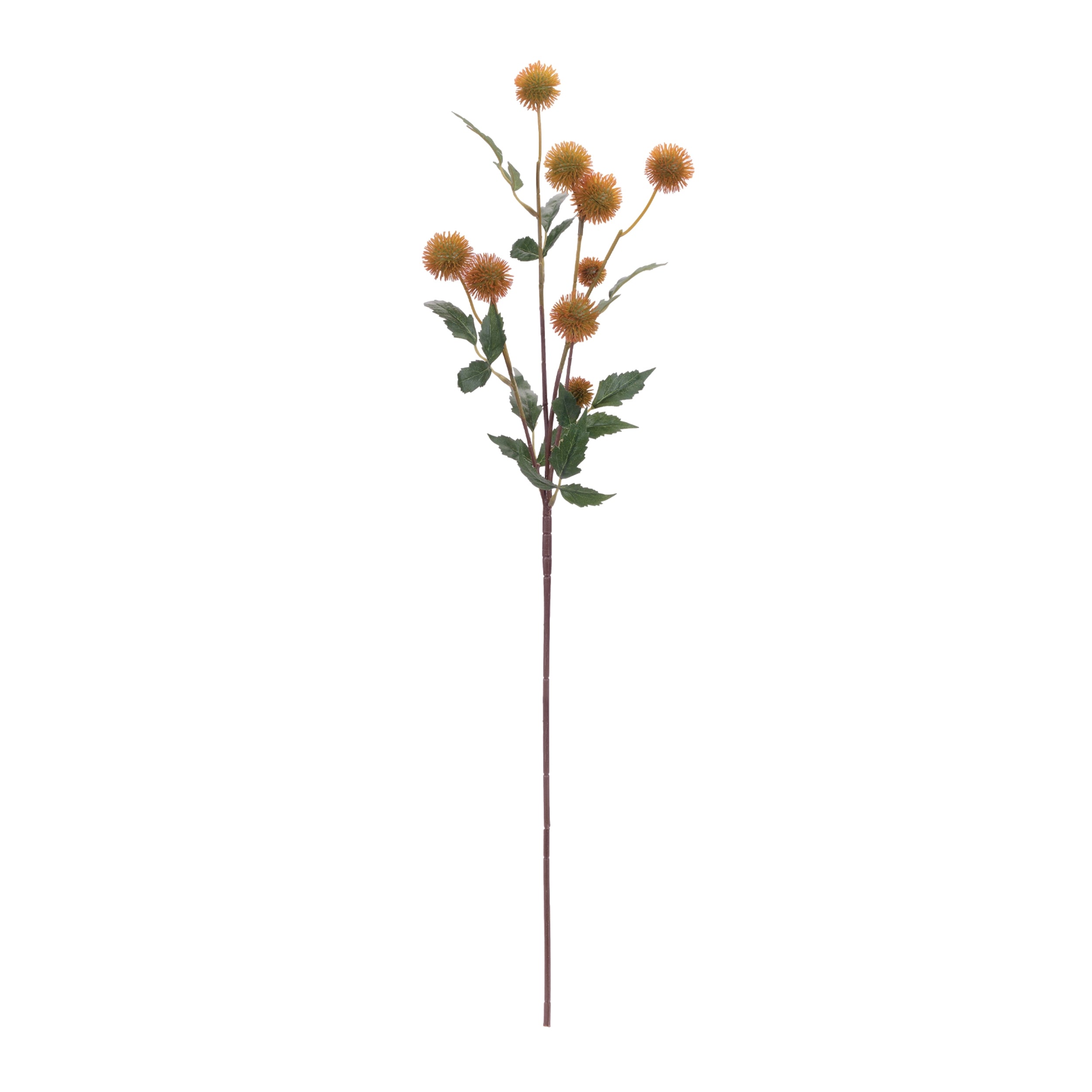 Thistle Pod Branch, Set of 6