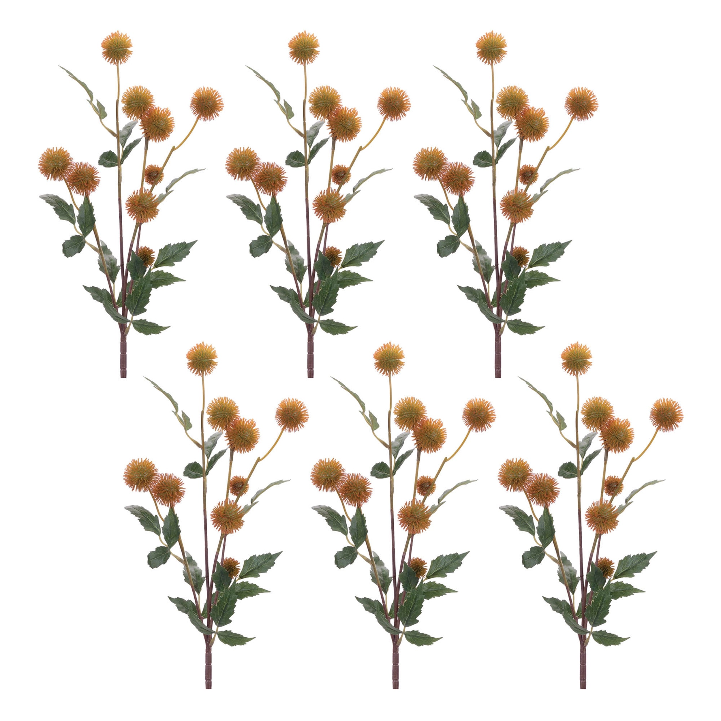 Thistle Pod Branch, Set of 6