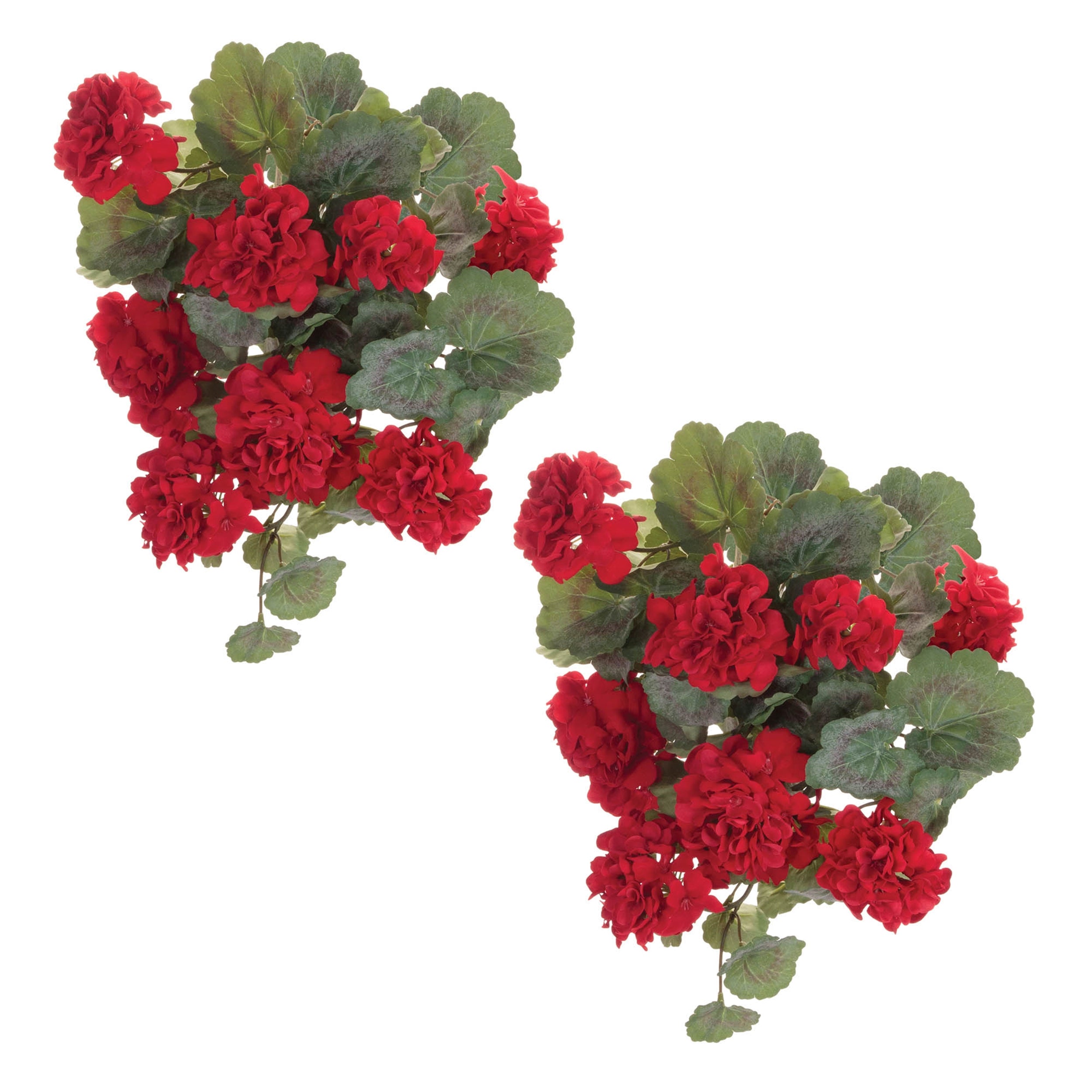 Hanging Geranium Floral Bush, Set of 2