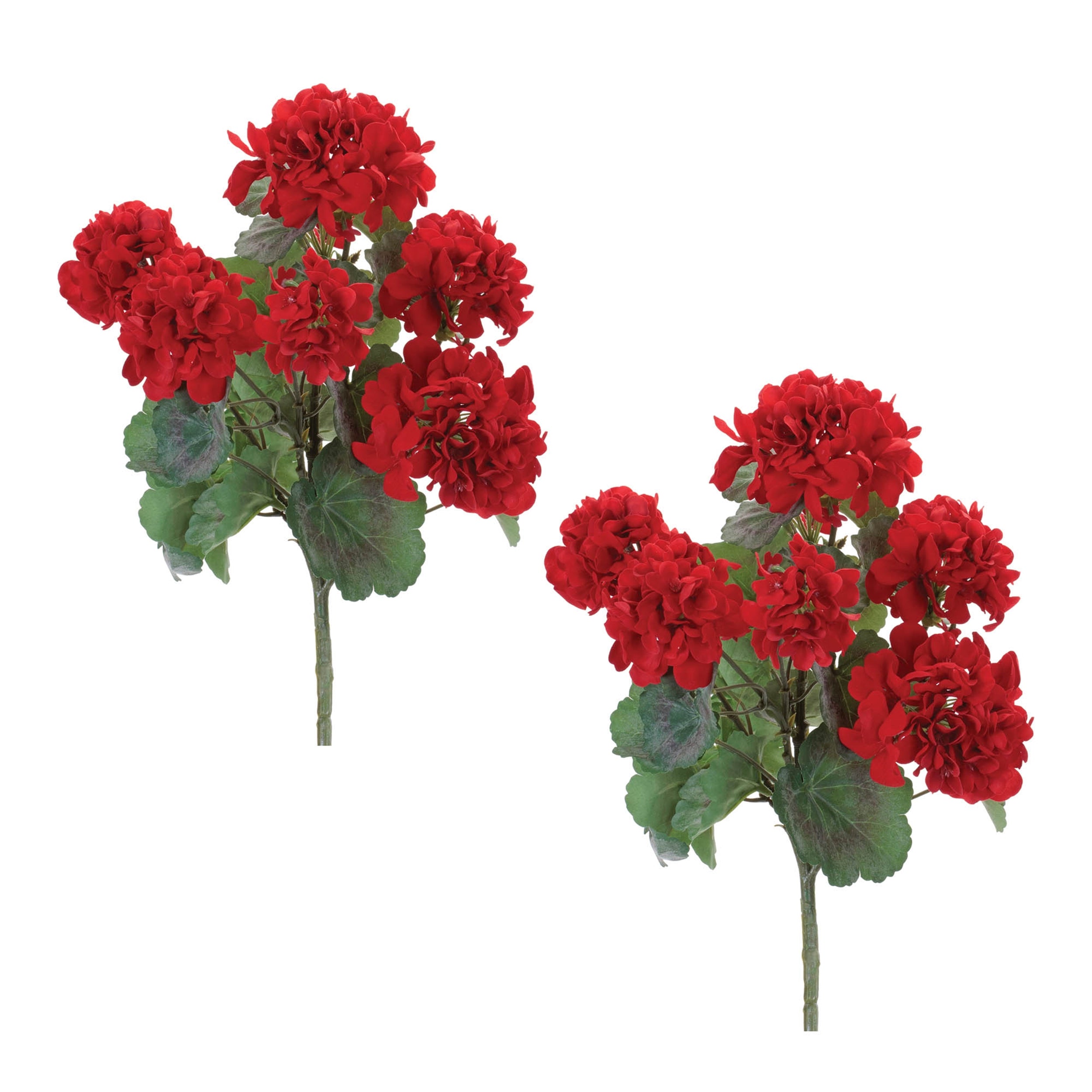 Geranium Floral Bush, Set of 2