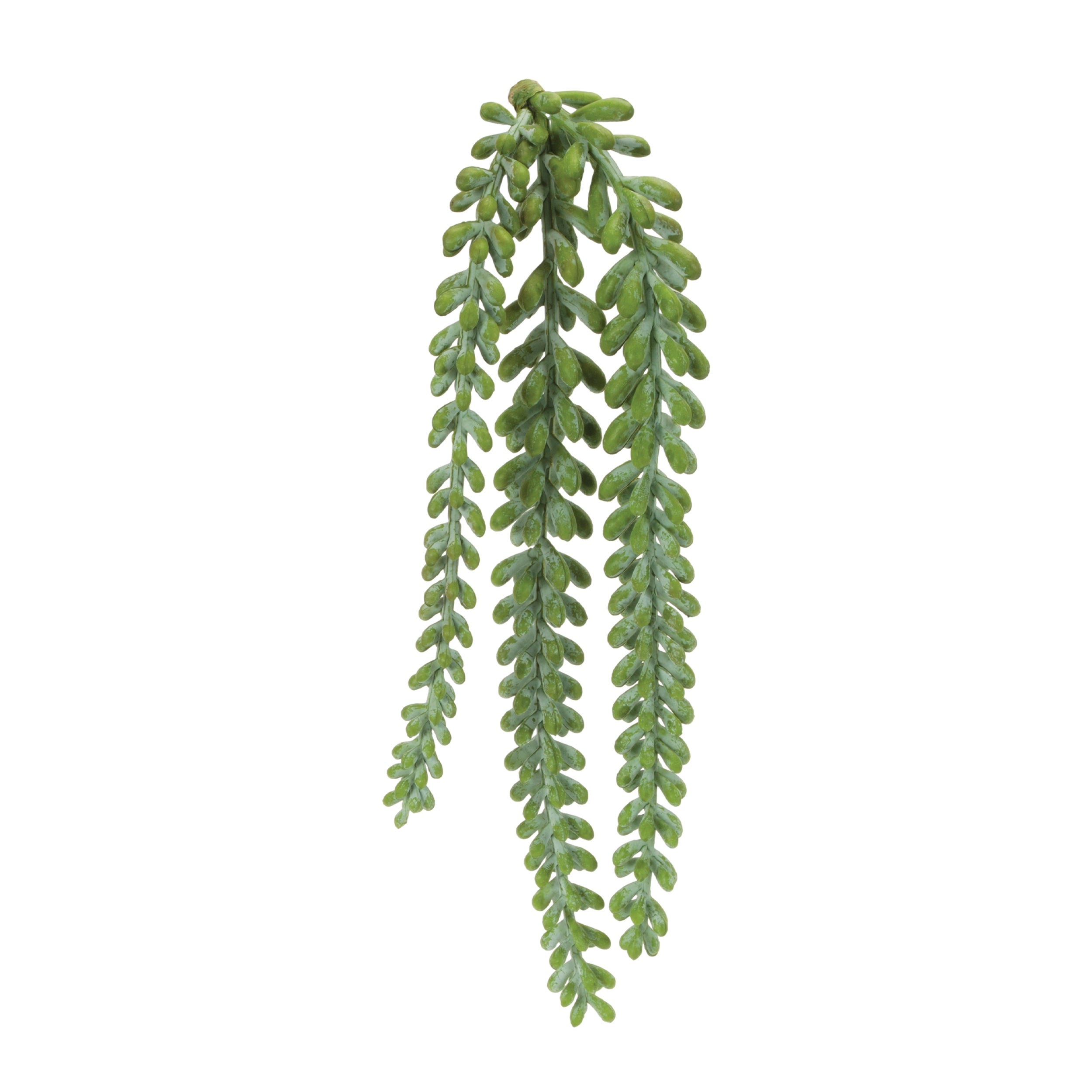 Hanging Sedum Succulent Spray, Set of 12