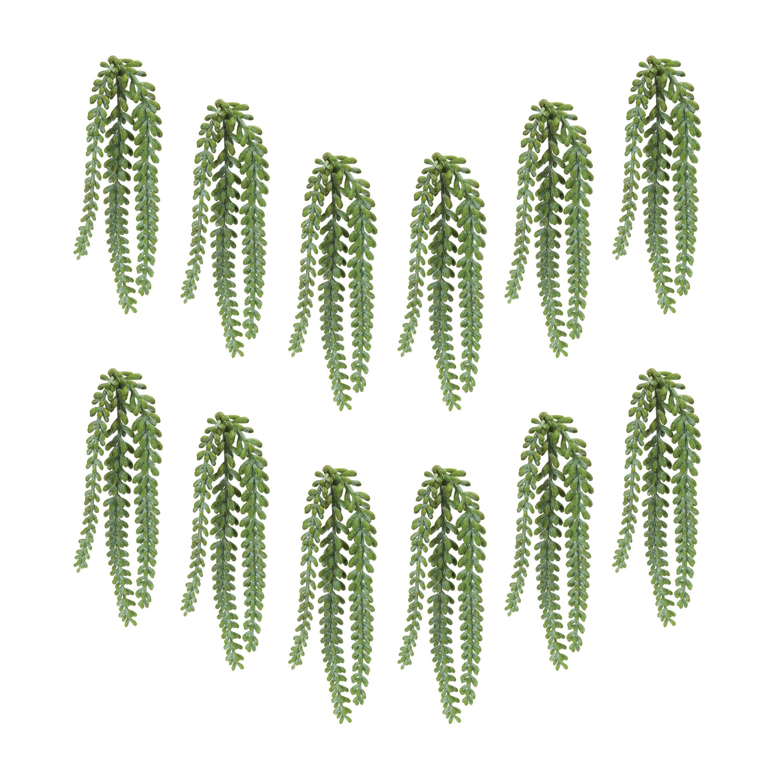 Hanging Sedum Succulent Spray, Set of 12