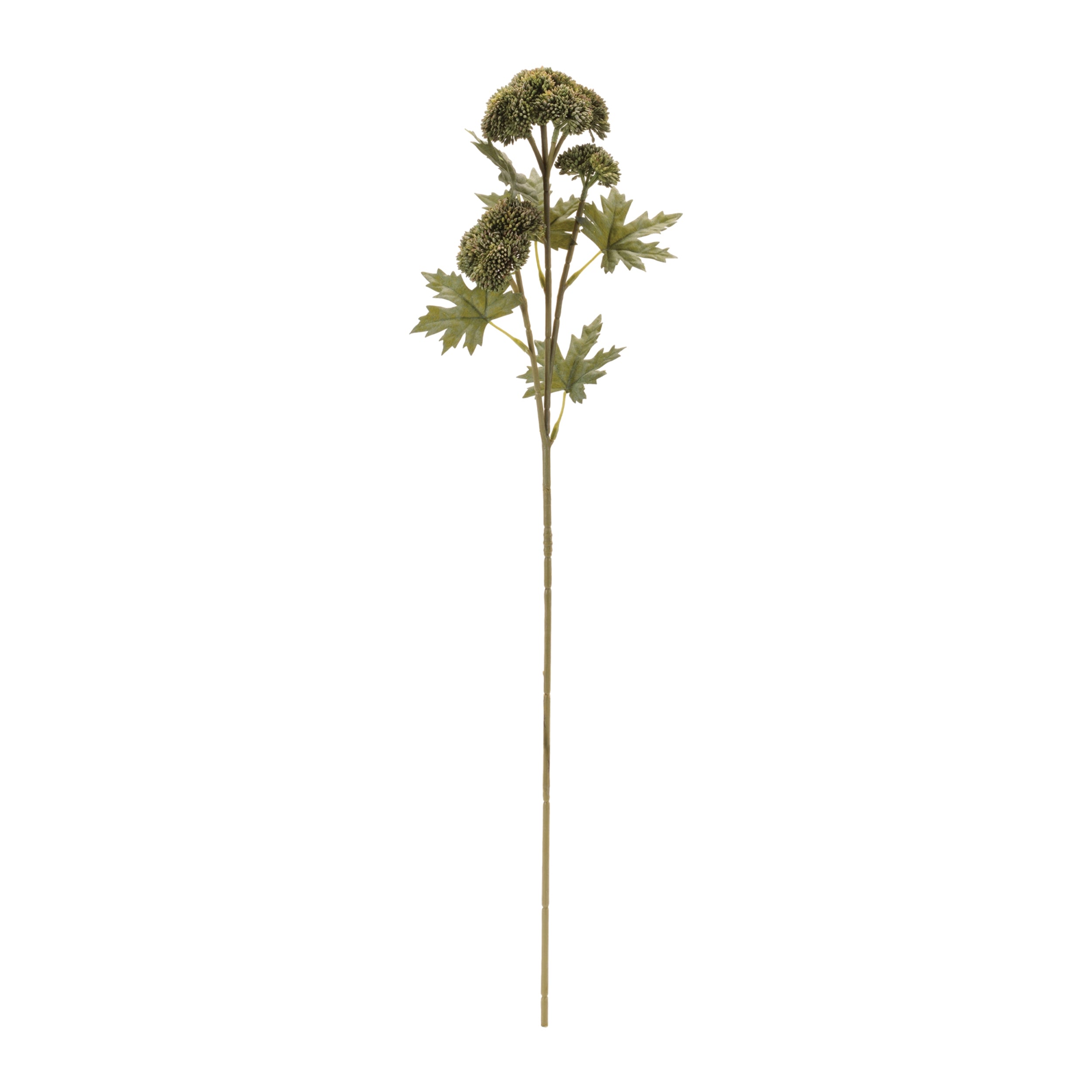 Sedum Succulent Spray, Set of 6