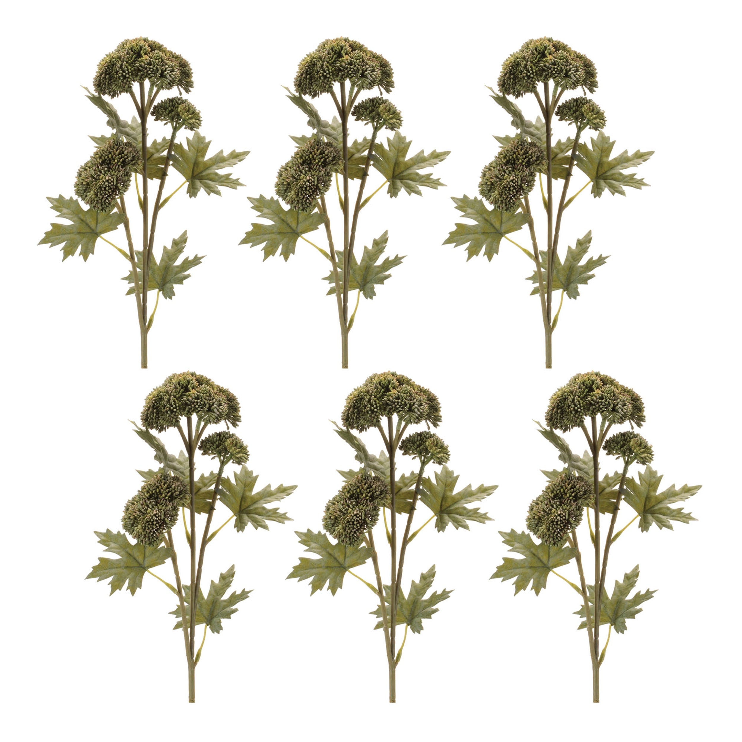 Sedum Succulent Spray, Set of 6