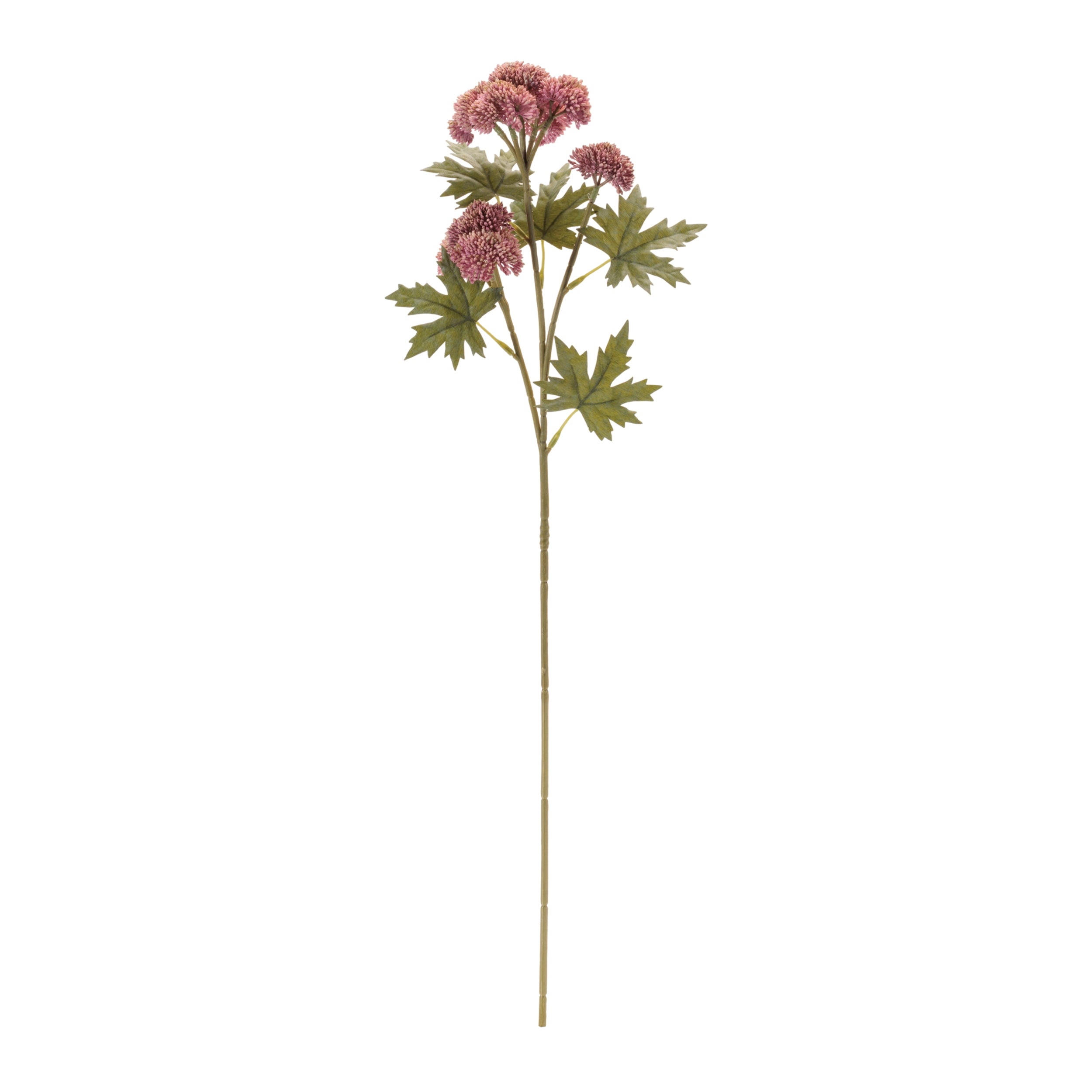 Sedum Succulent Spray, Set of 6