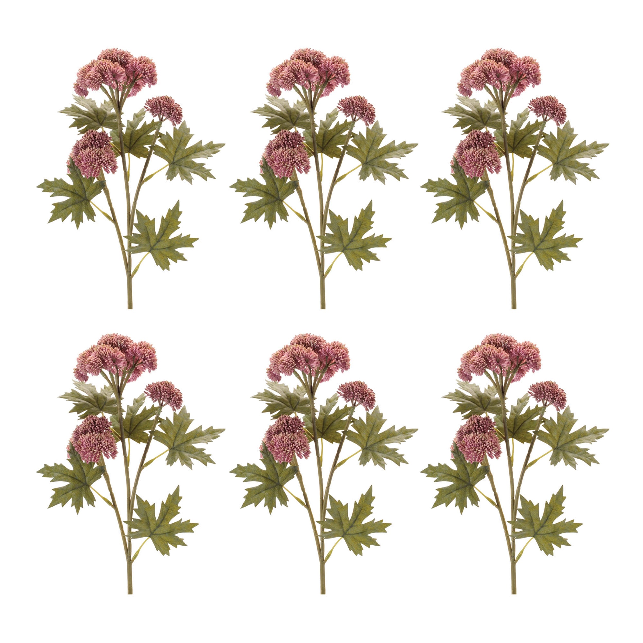 Sedum Succulent Spray, Set of 6