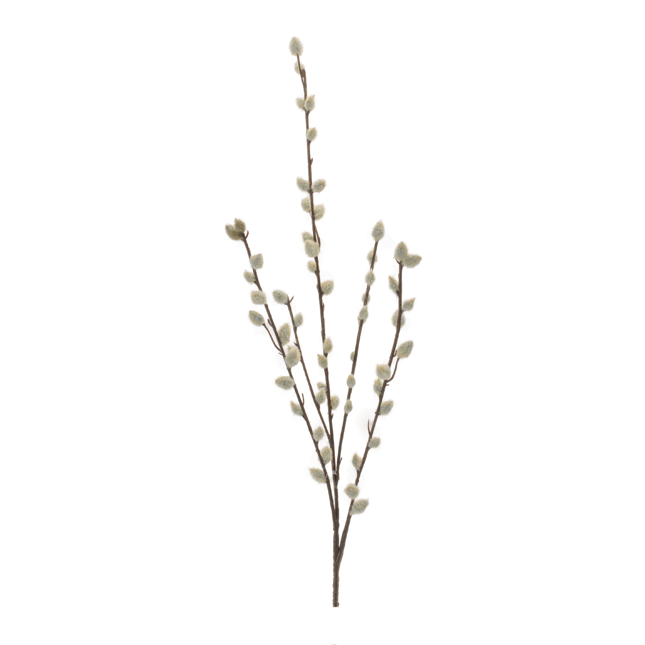 Pussy Willow Twig Spray, Set of 6