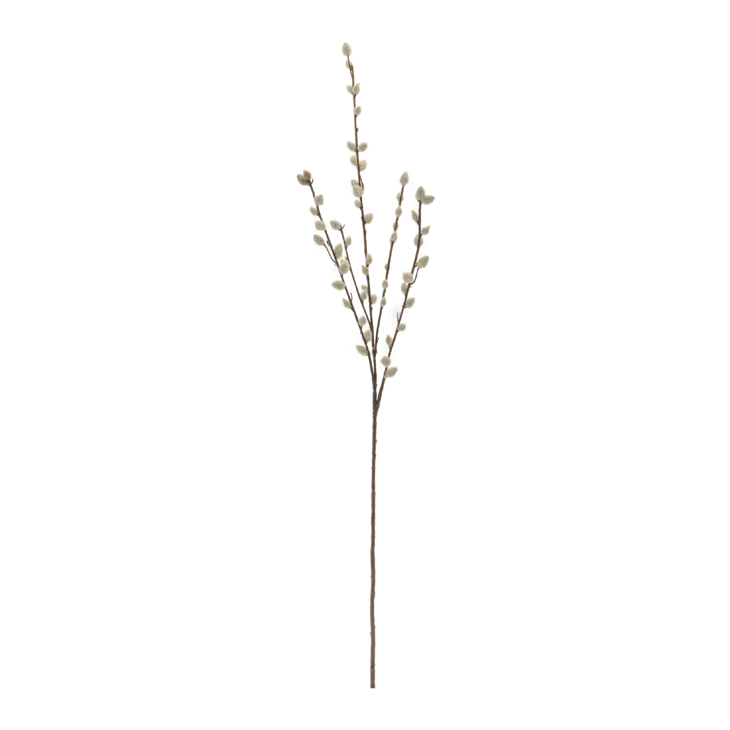 Pussy Willow Twig Spray, Set of 6