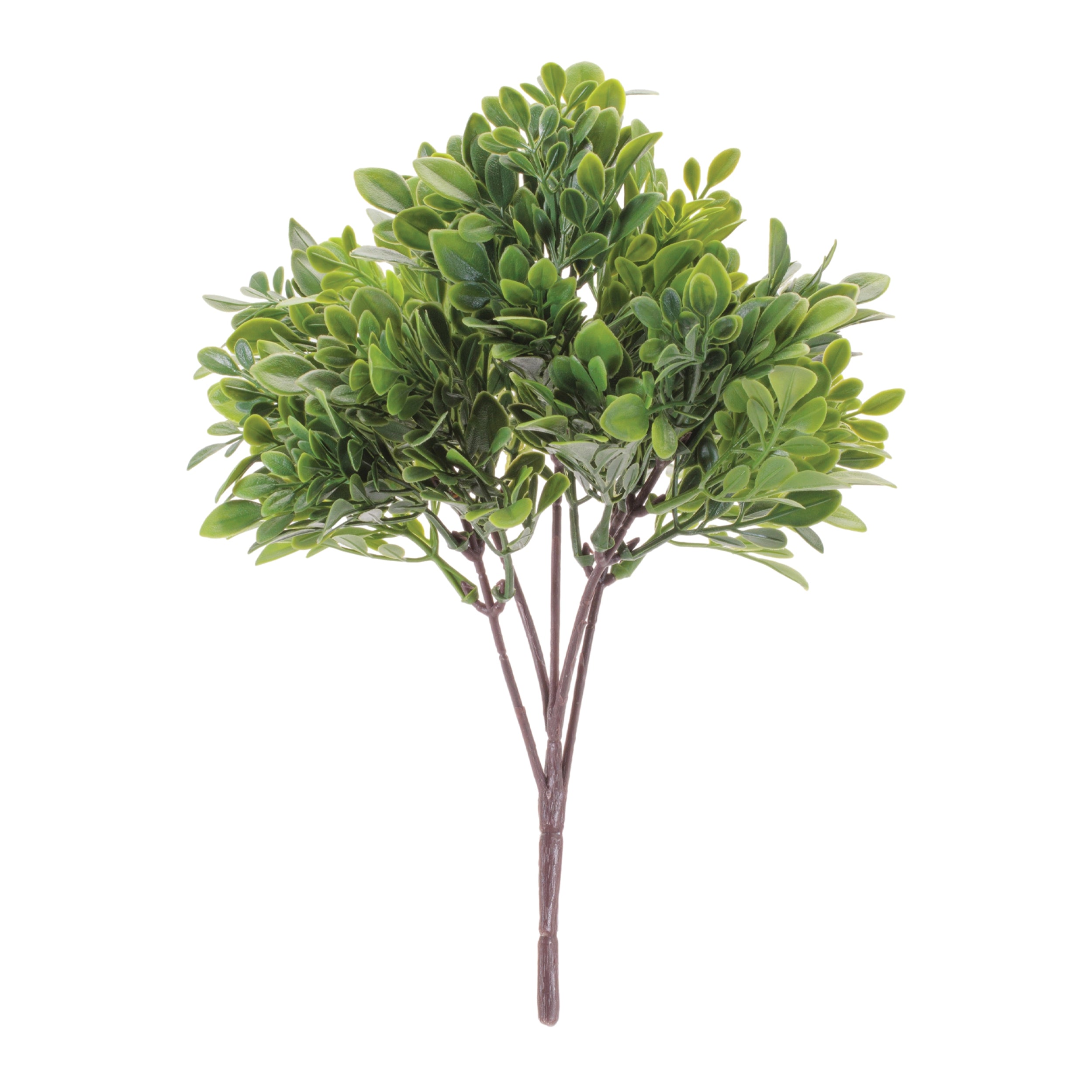 Boxwood Foliage Bush, Set of 6