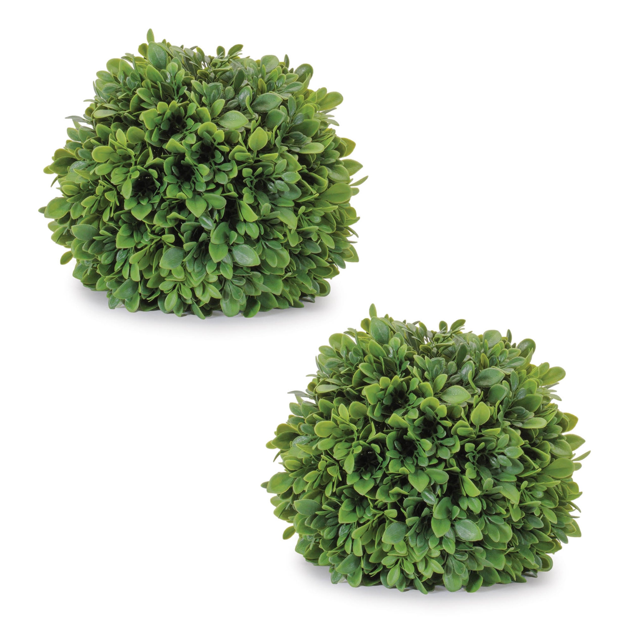 Boxwood Foliage Orb, Set of 2