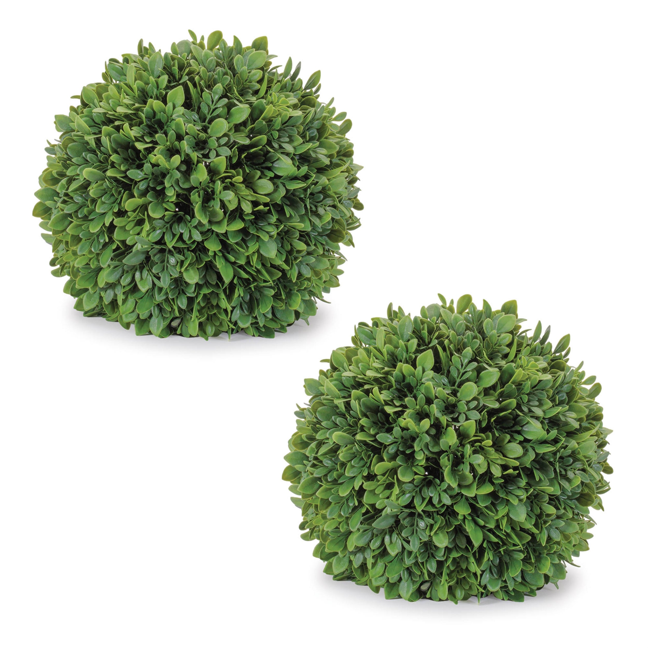 Boxwood Foliage Orb, Set of 2