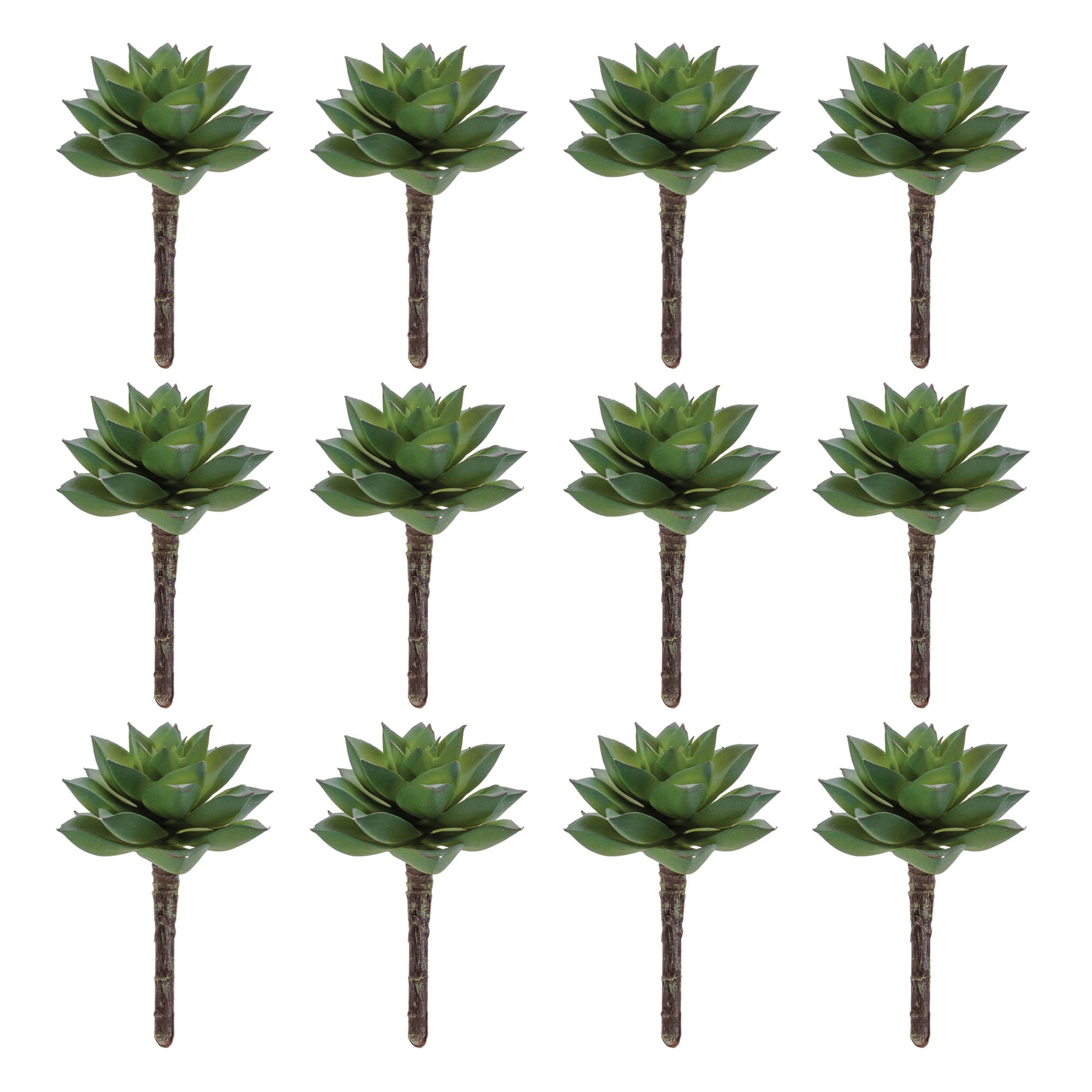 wax succulent Melrose Succulent Plant Pick (Set of 12)