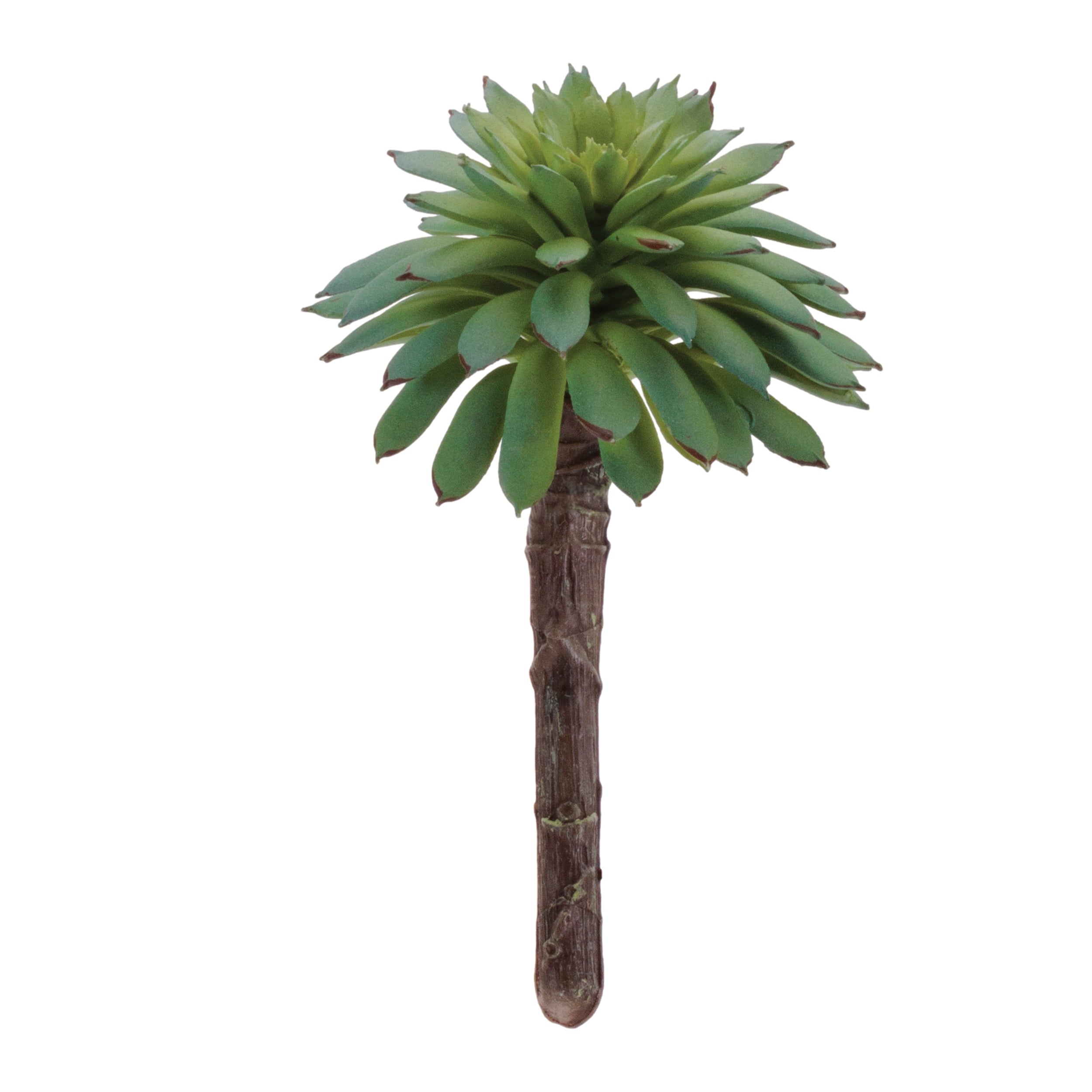 pier one succulent plants Succulent Plant Pick, Set of 12