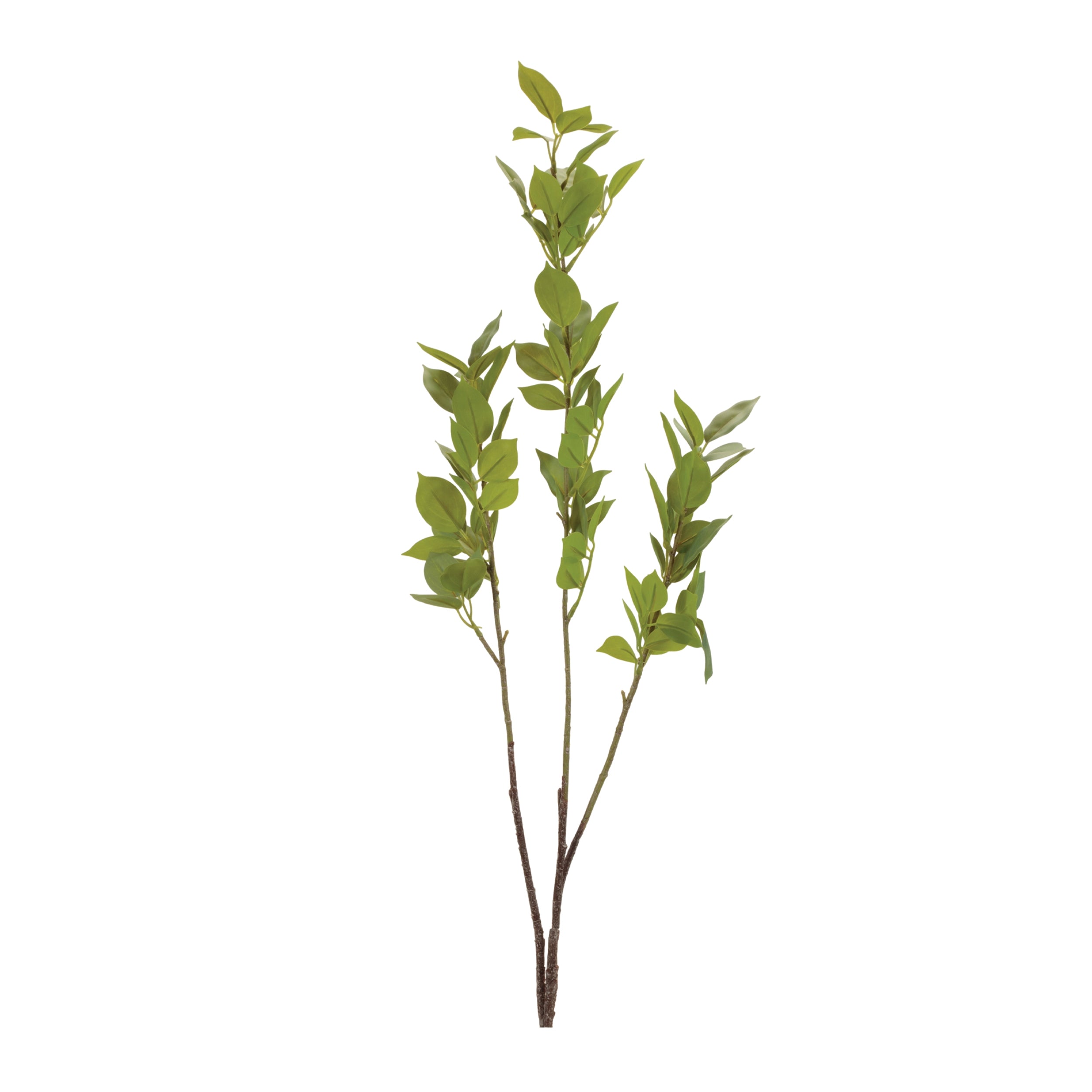 Leaf Foliage Branch, Set of 6