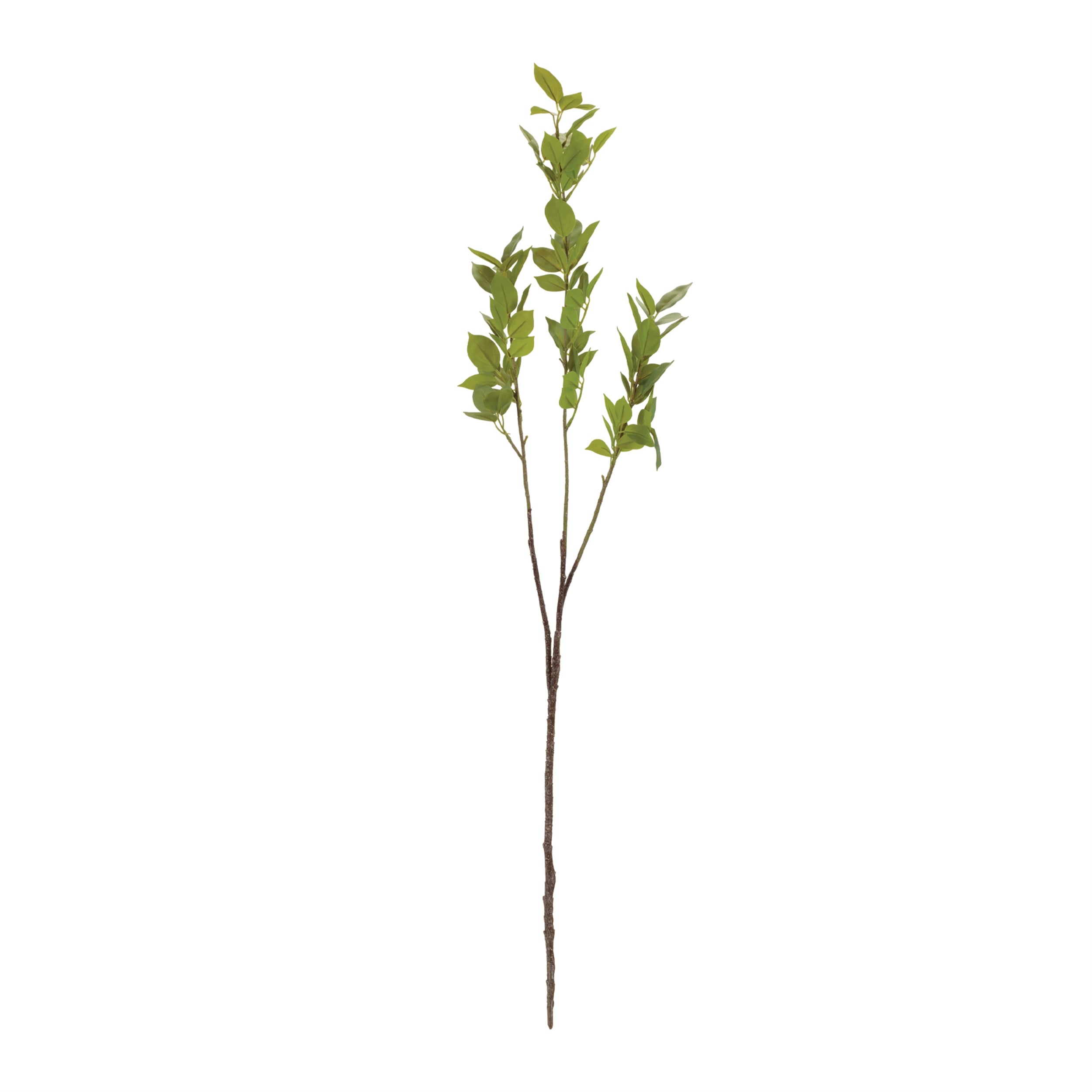 Leaf Foliage Branch, Set of 6