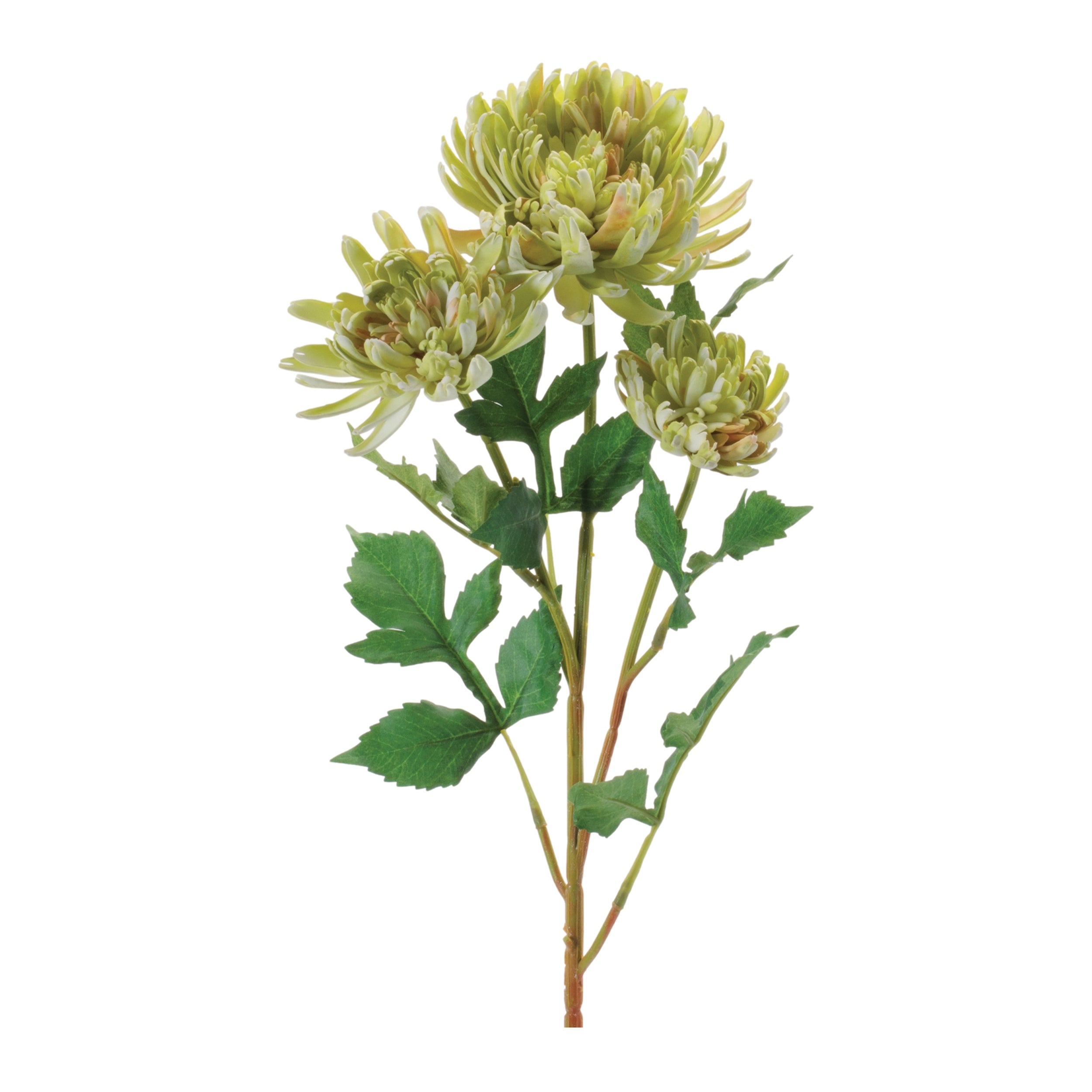 Green Mum Floral Spray, Set of 4