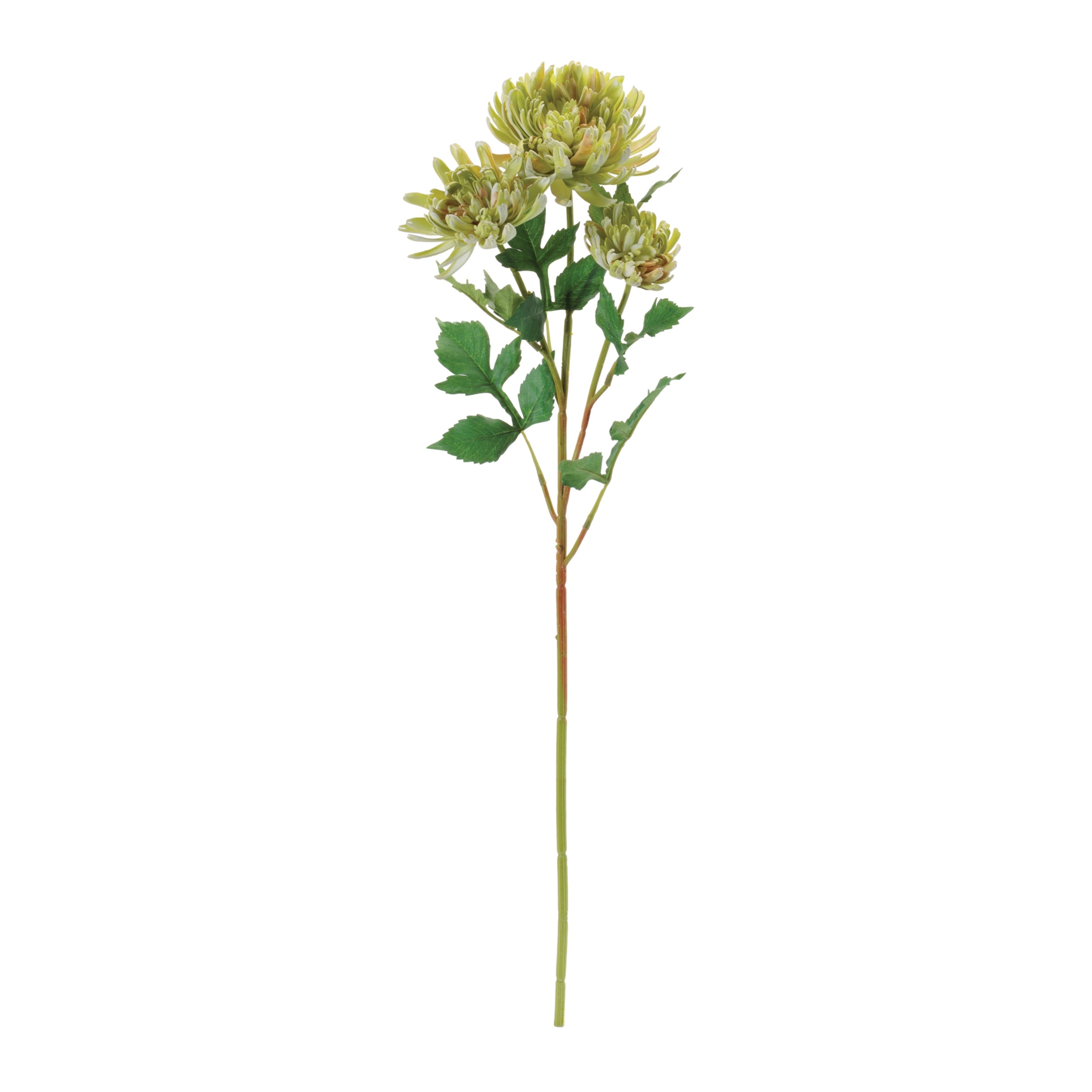 Green Mum Floral Spray, Set of 4