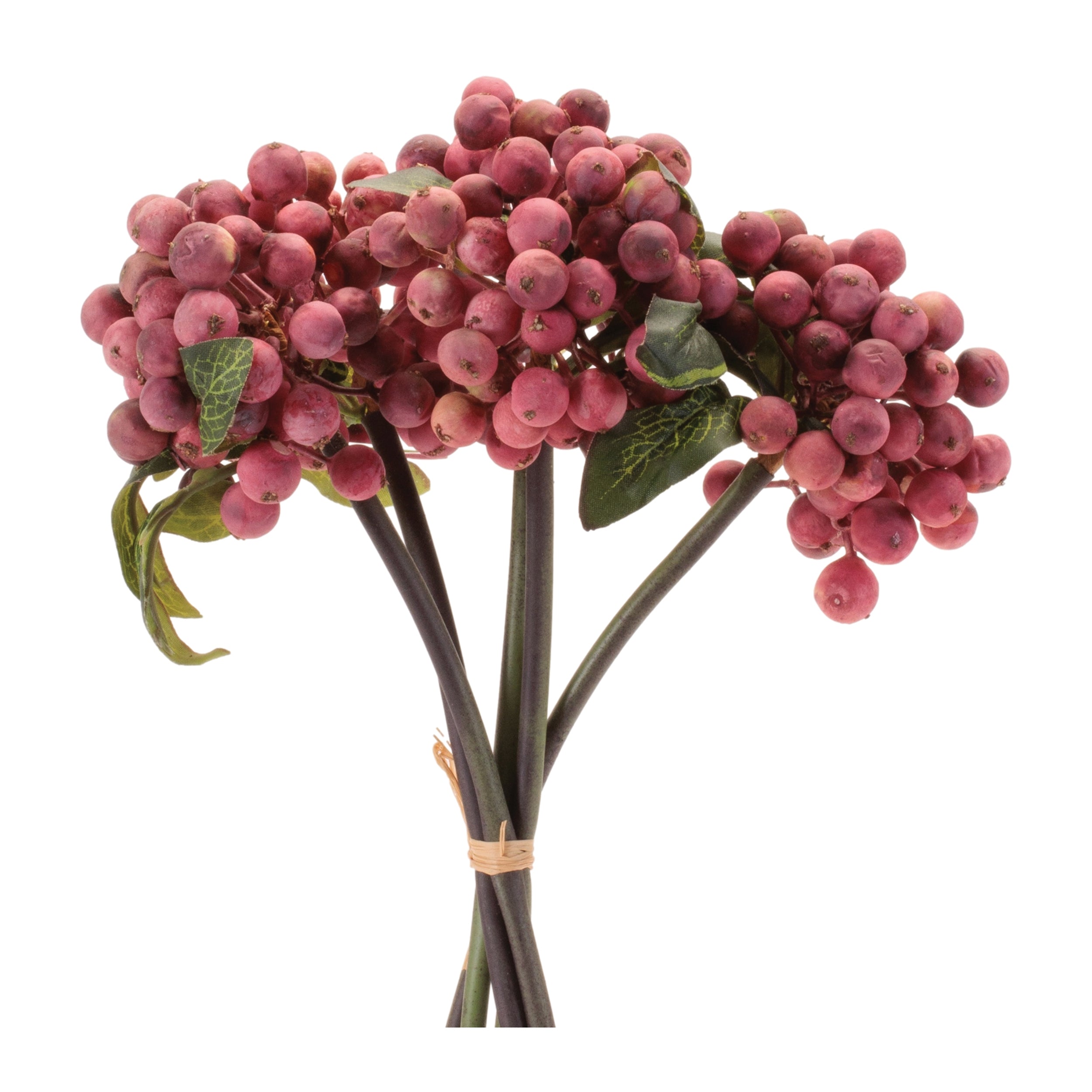 Red Berry Stem Bundle, Set of 4