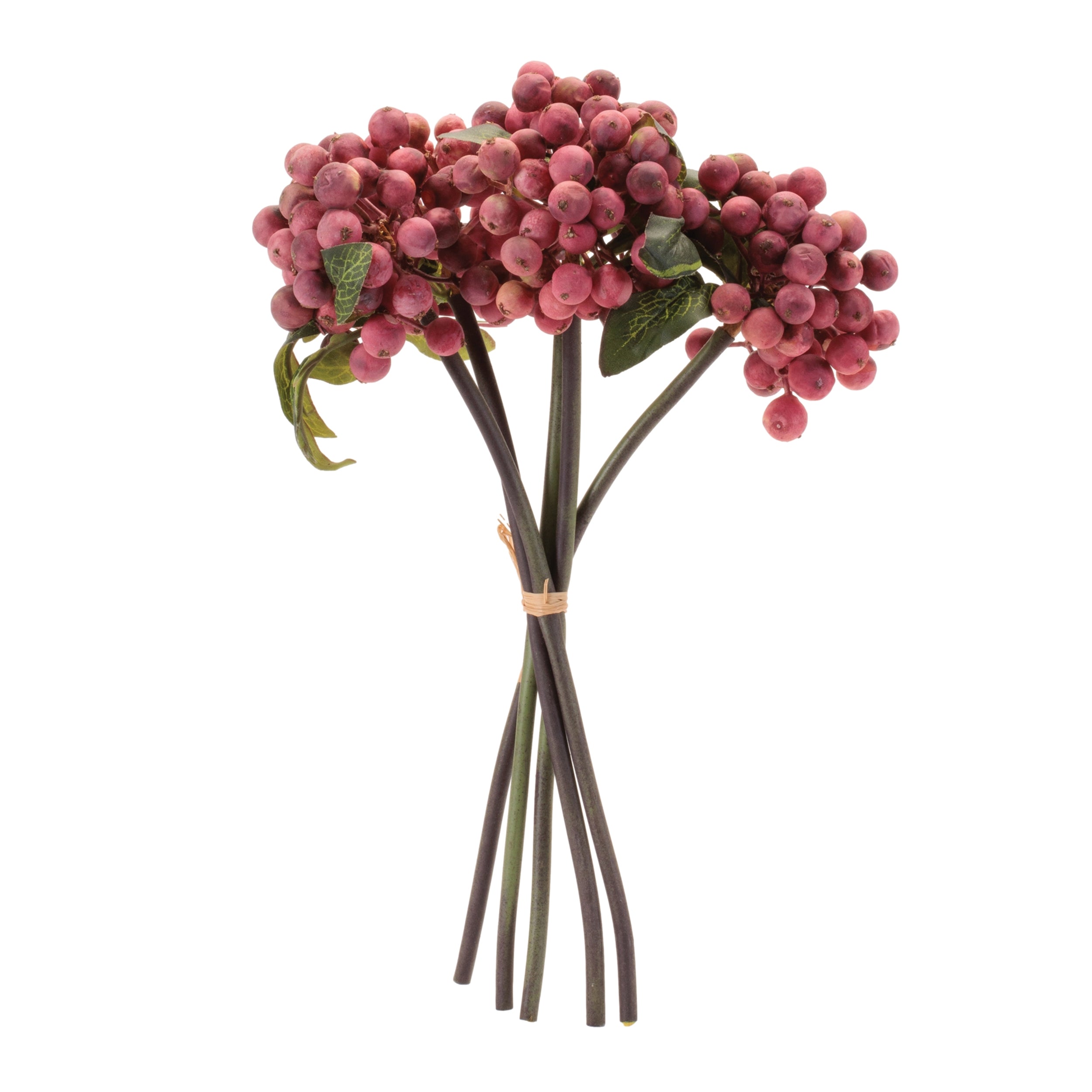 Red Berry Stem Bundle, Set of 4