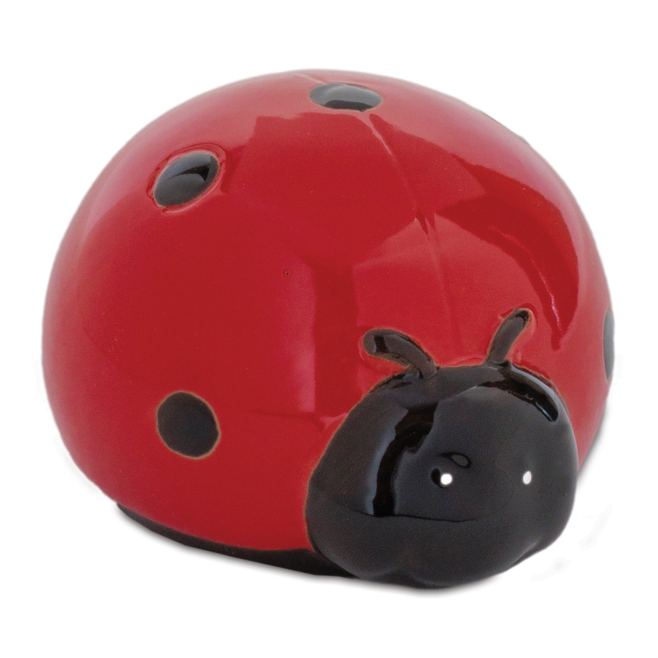 Lady Bug (Set of 24)