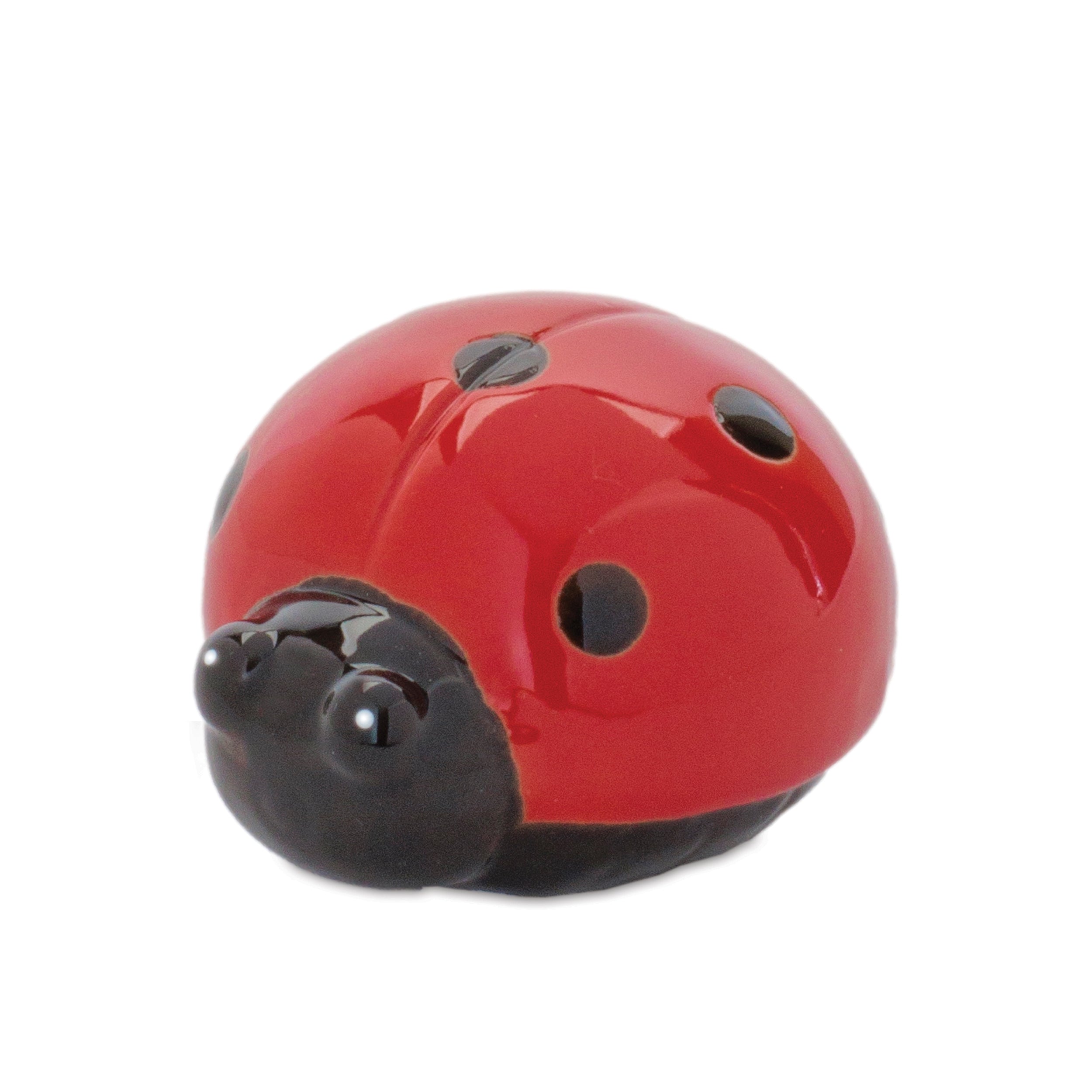 Lady Bug (Set of 24)