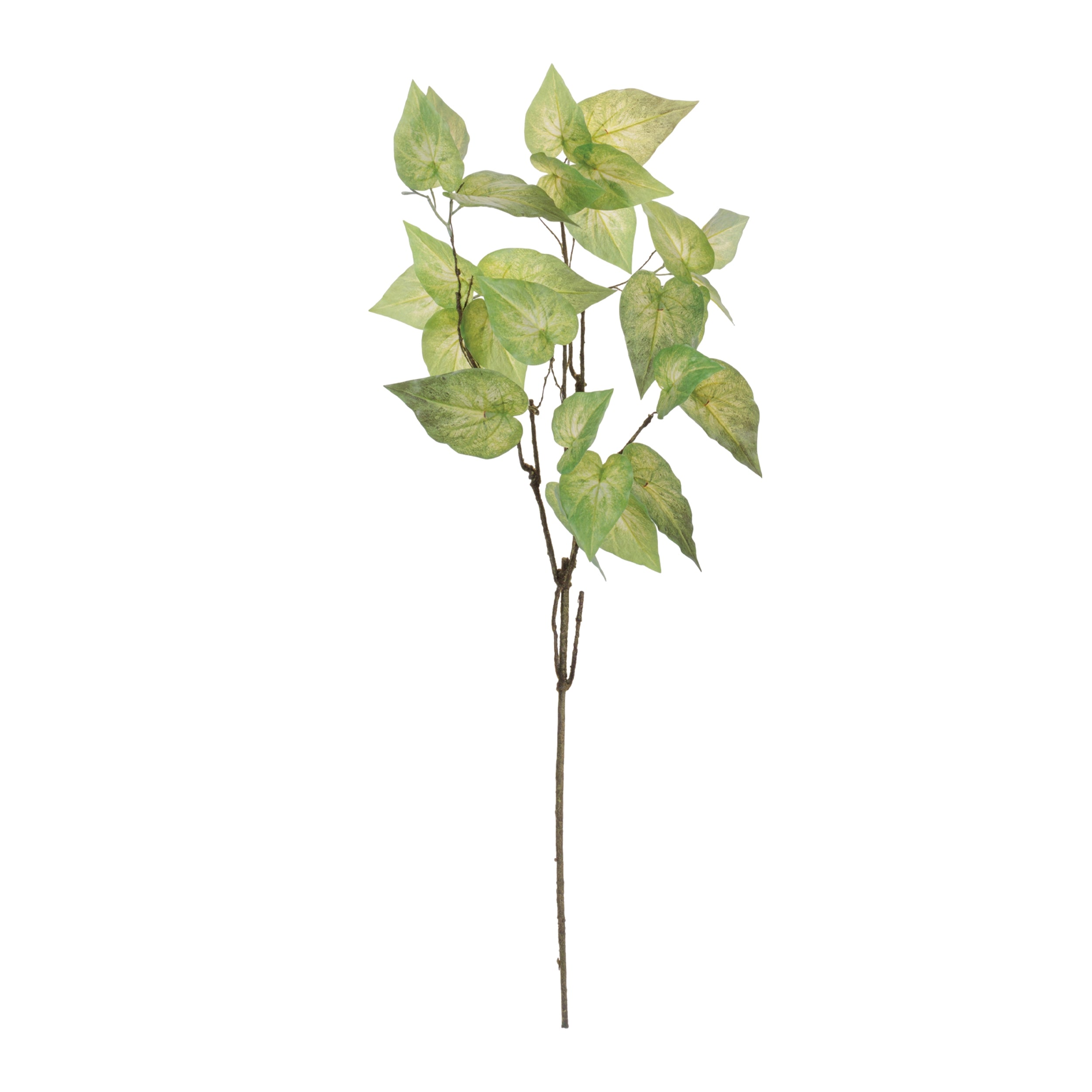 Anthurium Leaf Branch, Set of 4