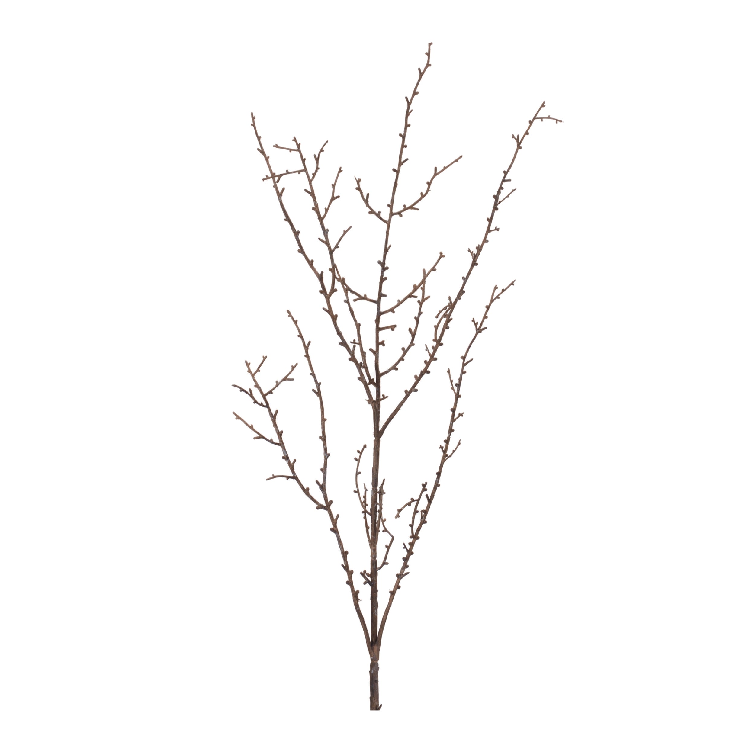 Birch Twig Branch, Set of 6