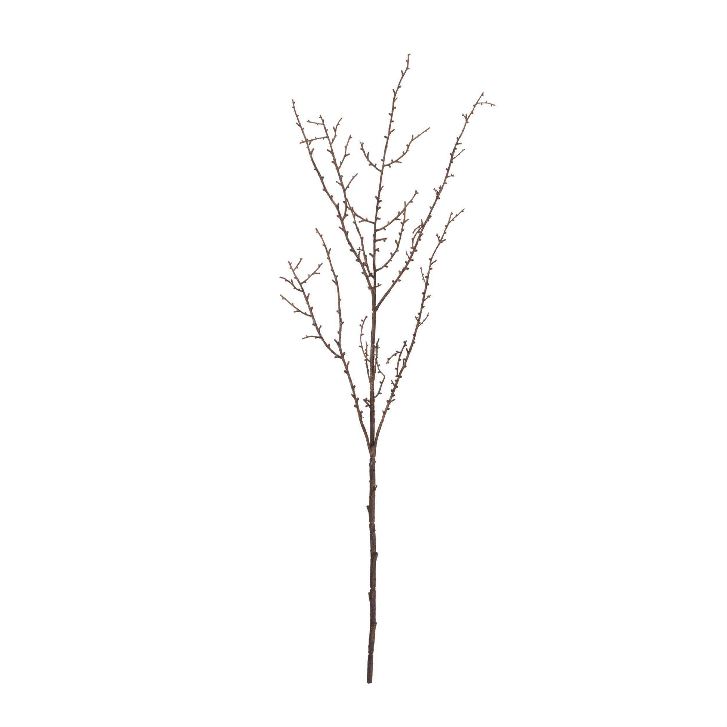 Birch Twig Branch, Set of 6