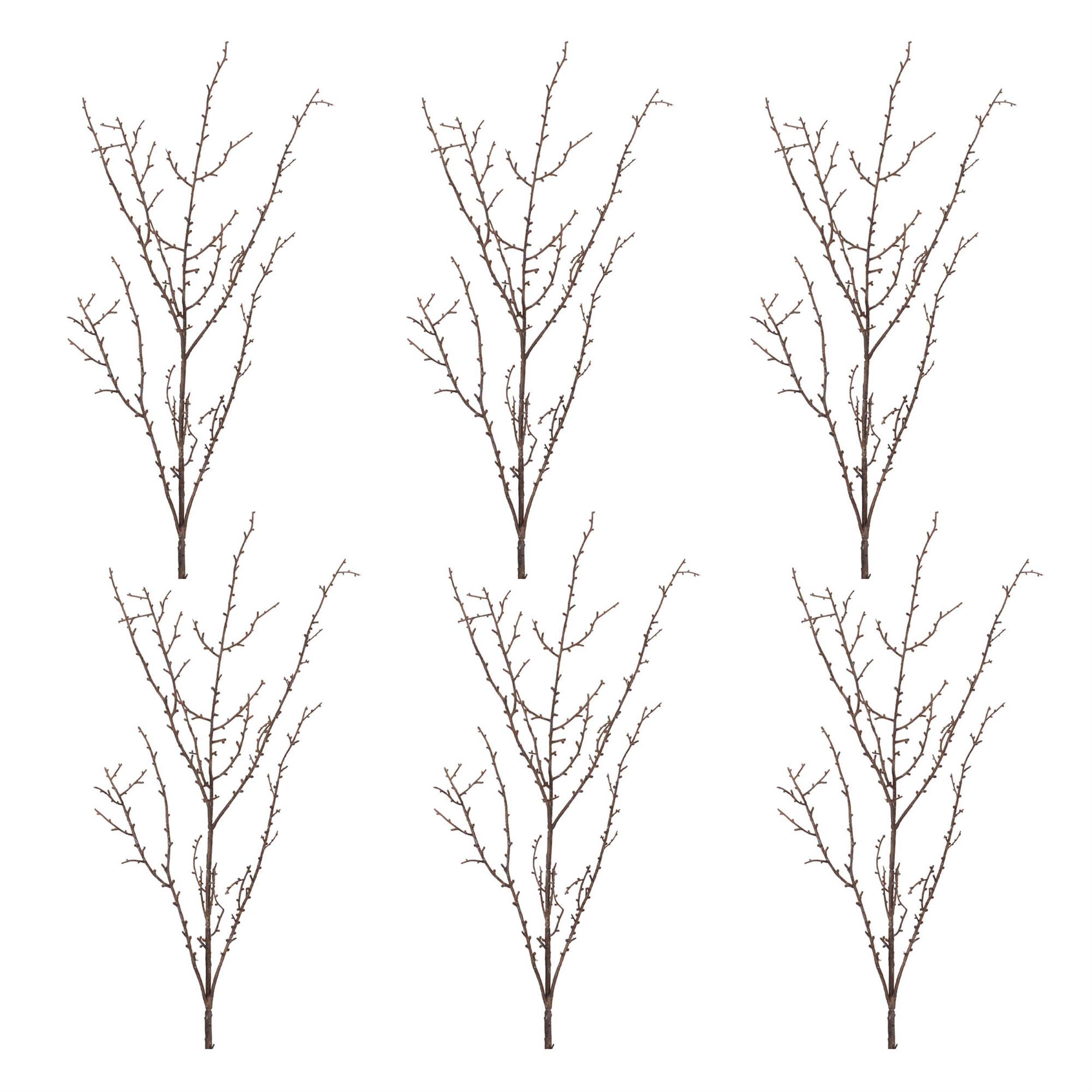 Birch Twig Branch, Set of 6
