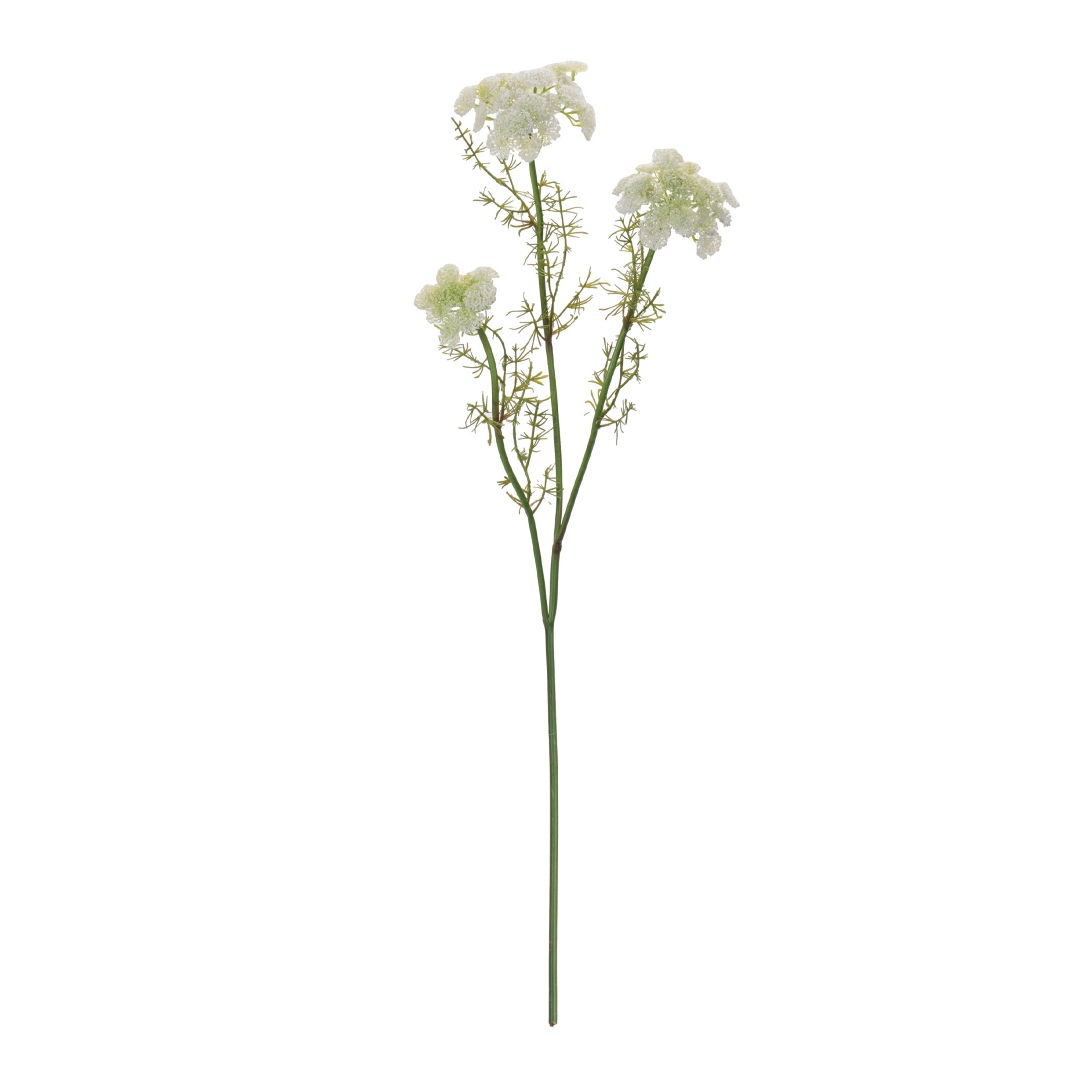 Queen Anne's Lace Floral Spray, Set of 6