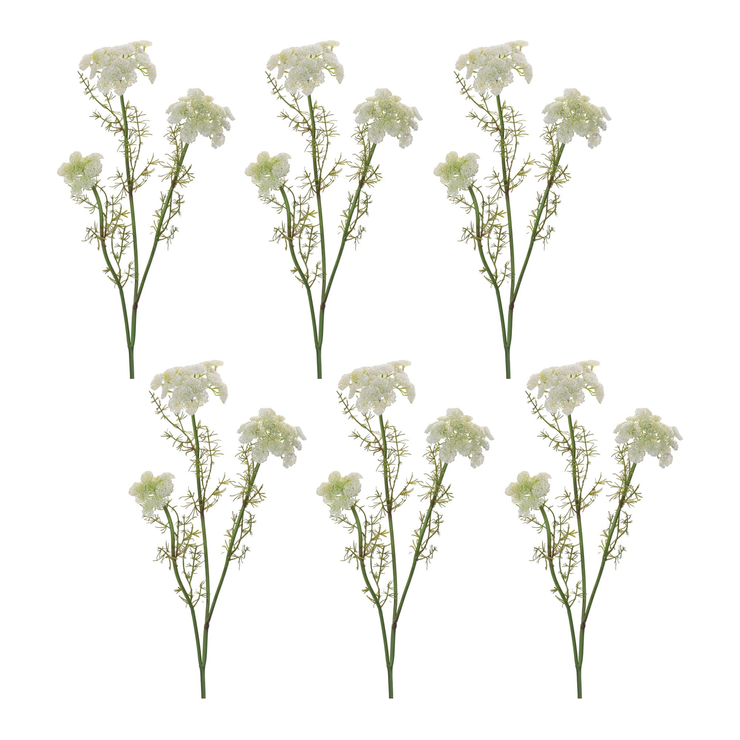 Queen Anne's Lace Floral Spray, Set of 6