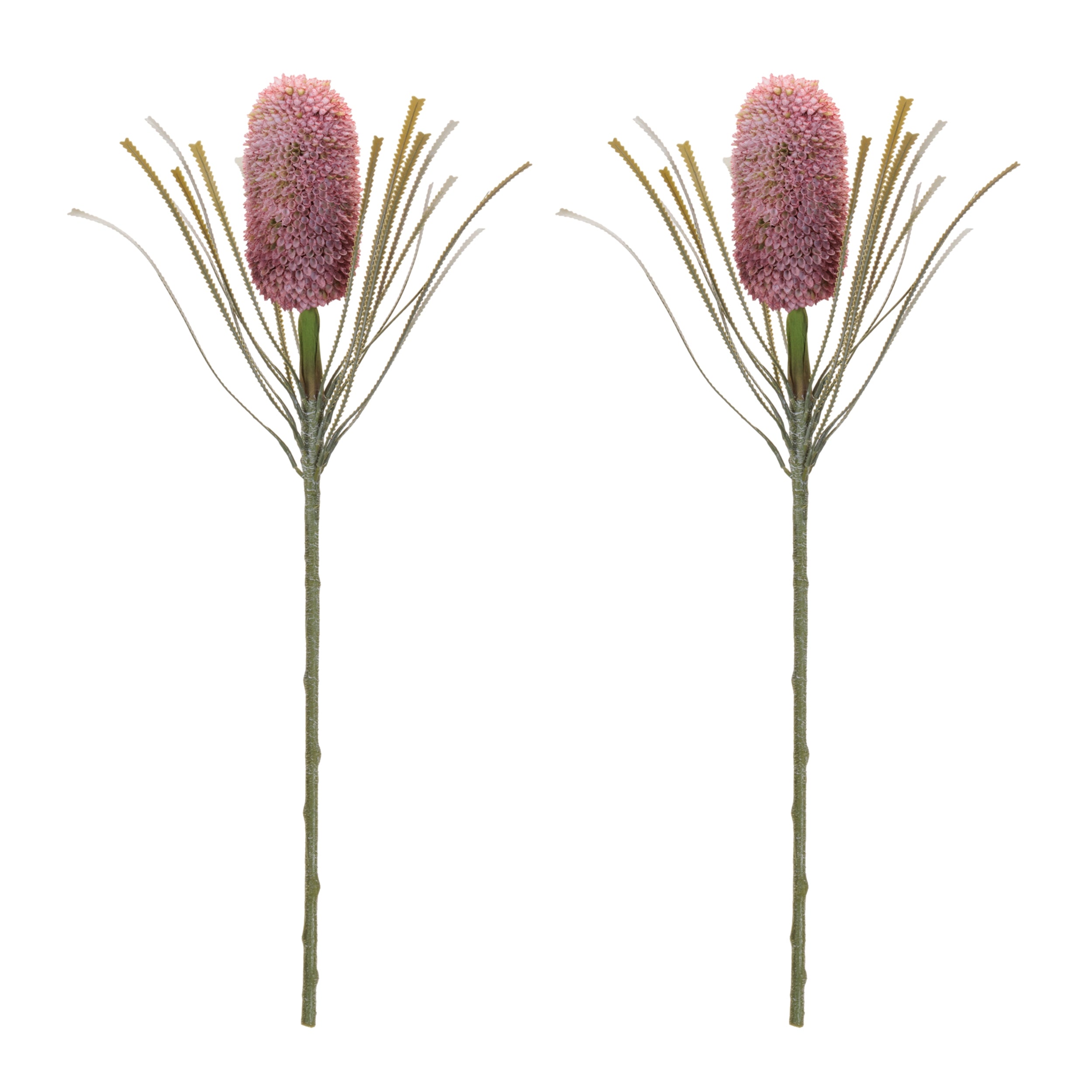 Red Protea Floral Stem, Set of 2