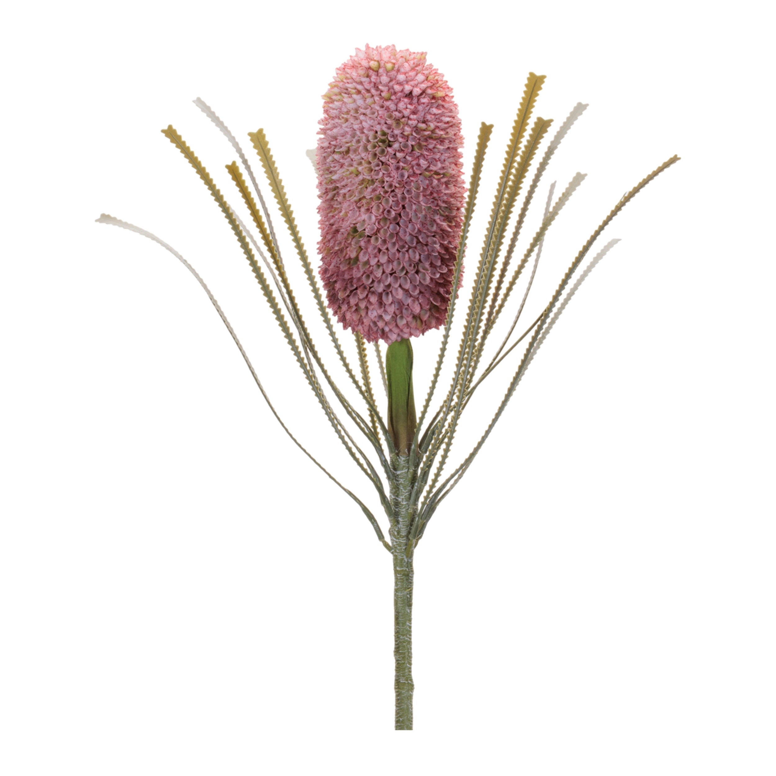 Red Protea Floral Stem, Set of 2