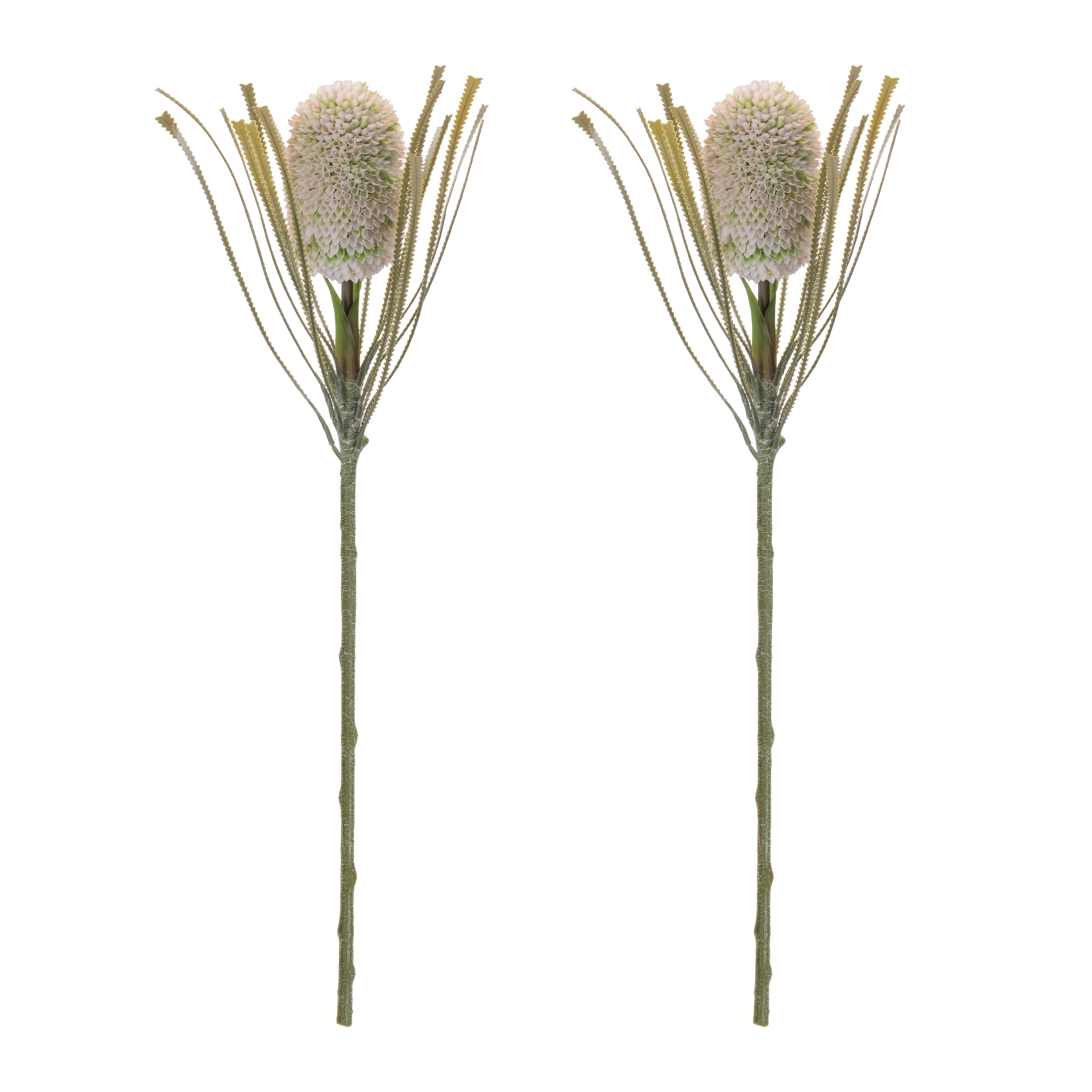 Green Protea Floral Stem, Set of 2