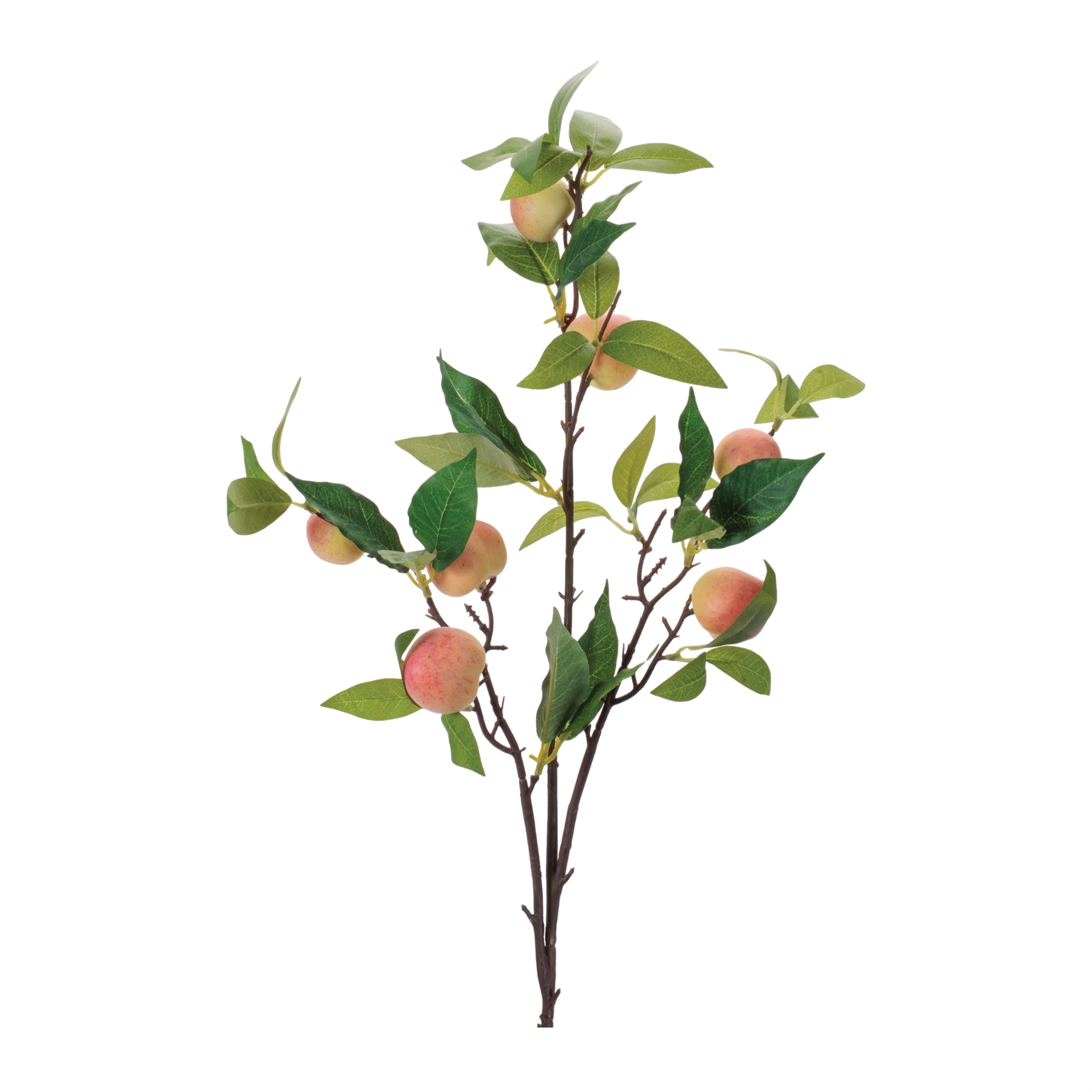 Peach Fruit Foliage Branch, Set of 6