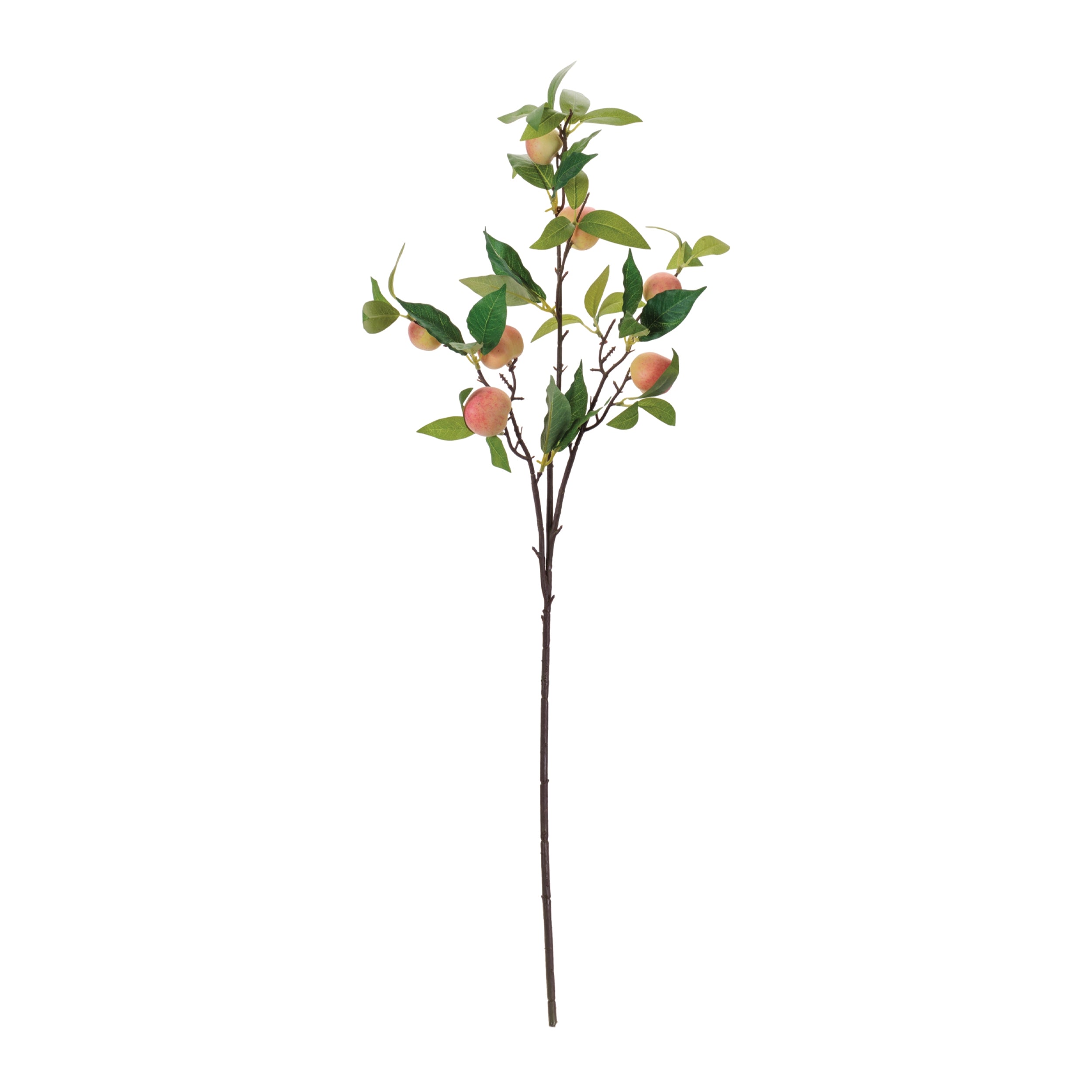 Peach Fruit Foliage Branch, Set of 6