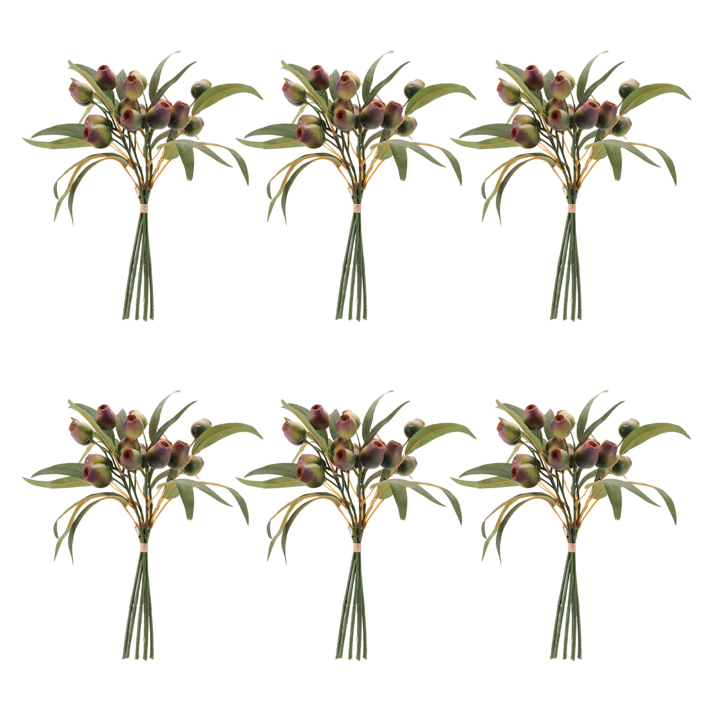 Pod Foliage Bundle, Set of 6