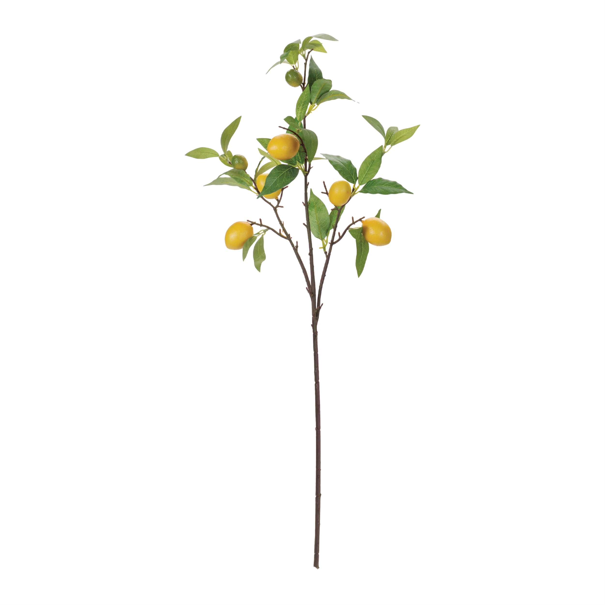 Lemon Fruit Foliage Branch, Set of 6