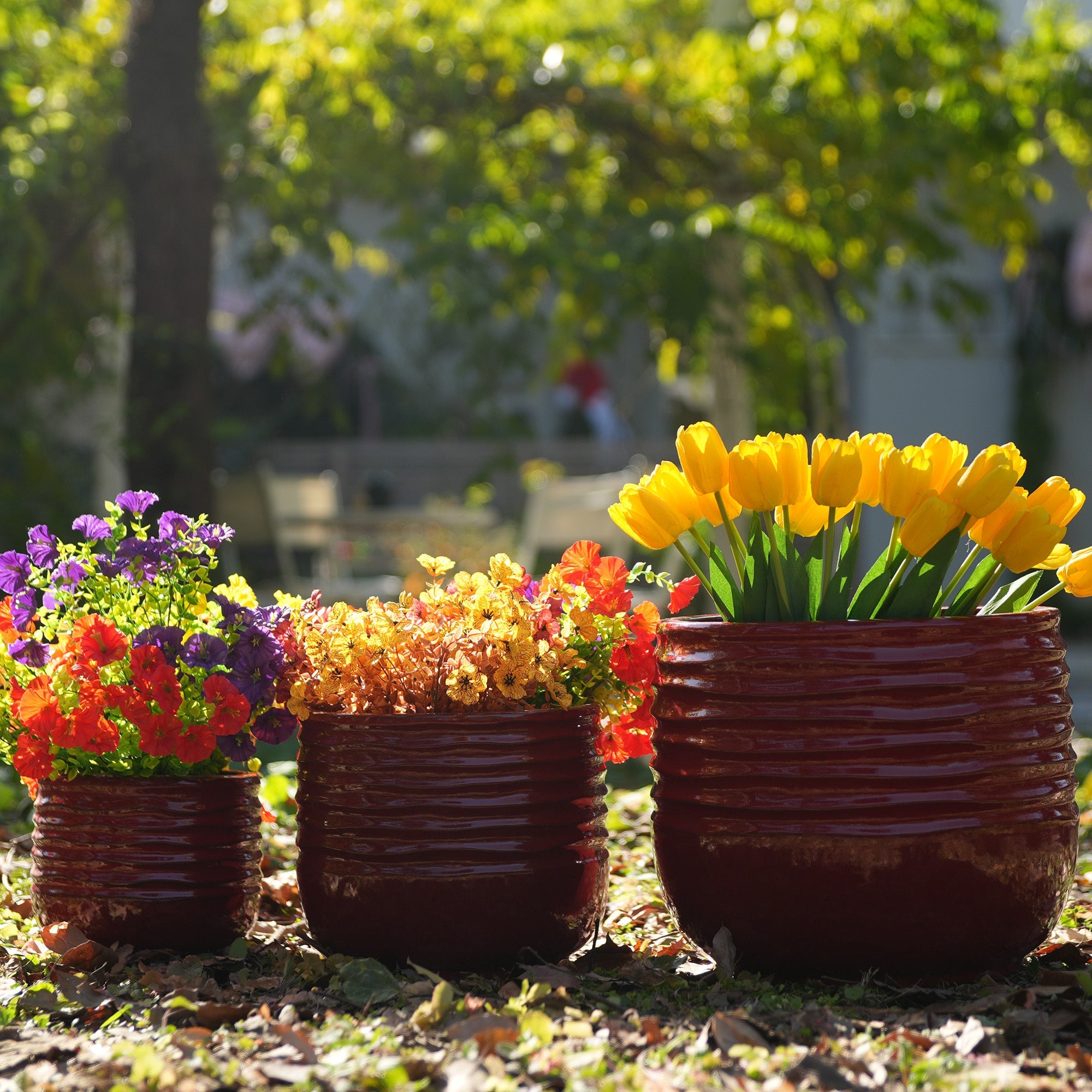 Calan Handmade Glazed Ceramic Planter, Set of 3