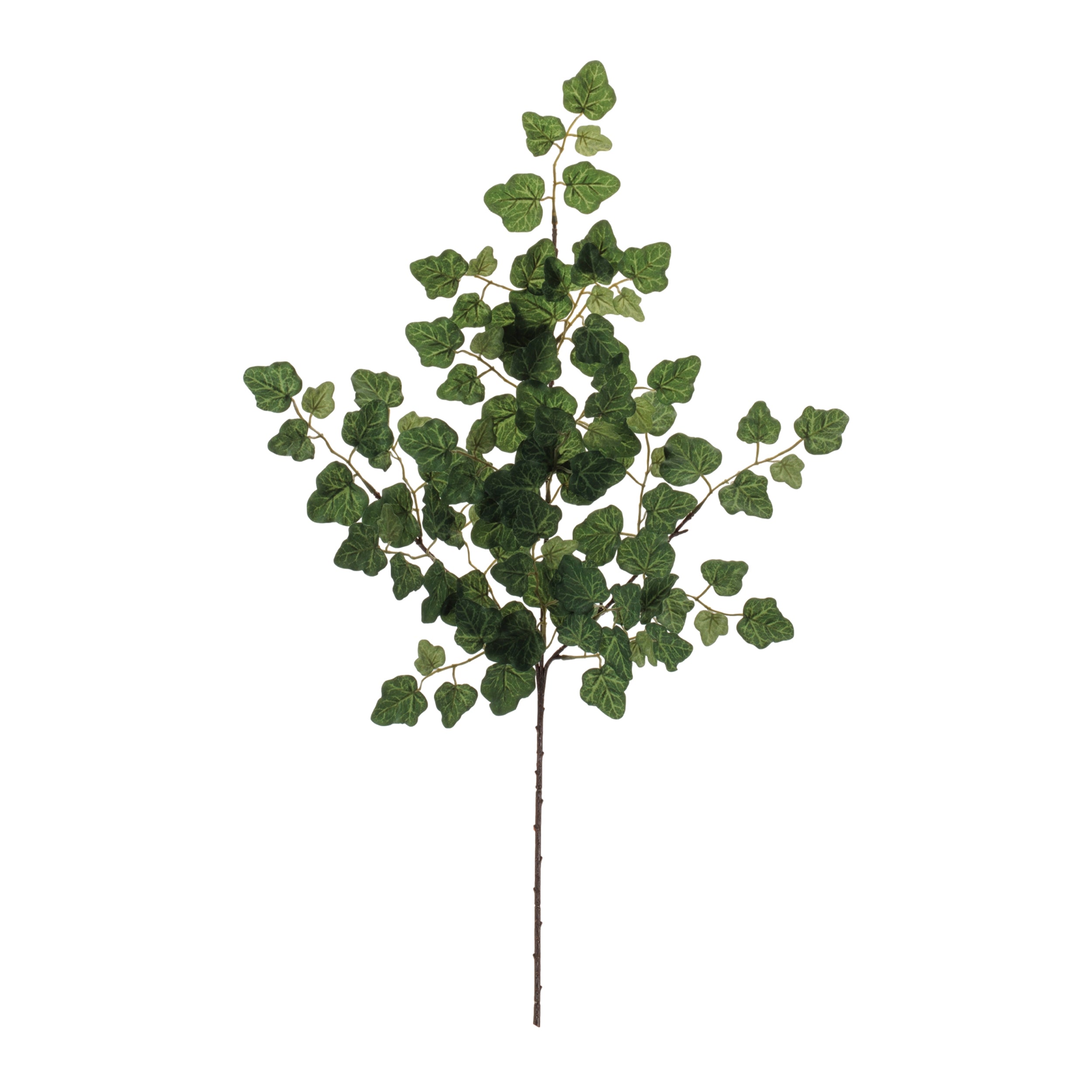 Ivy Foliage Spray, Set of 6