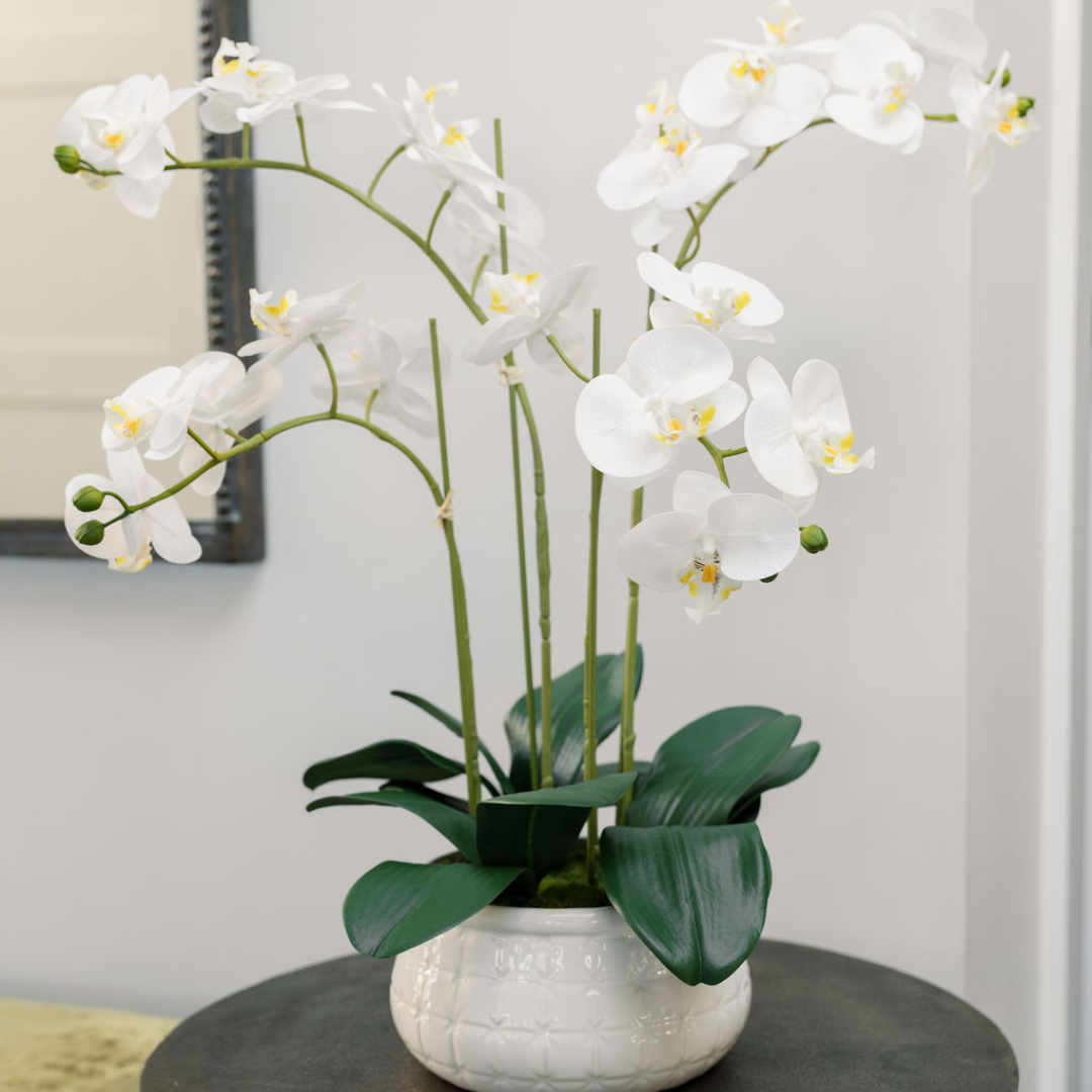Lifelike 23" Faux Phalaenopsis Orchid