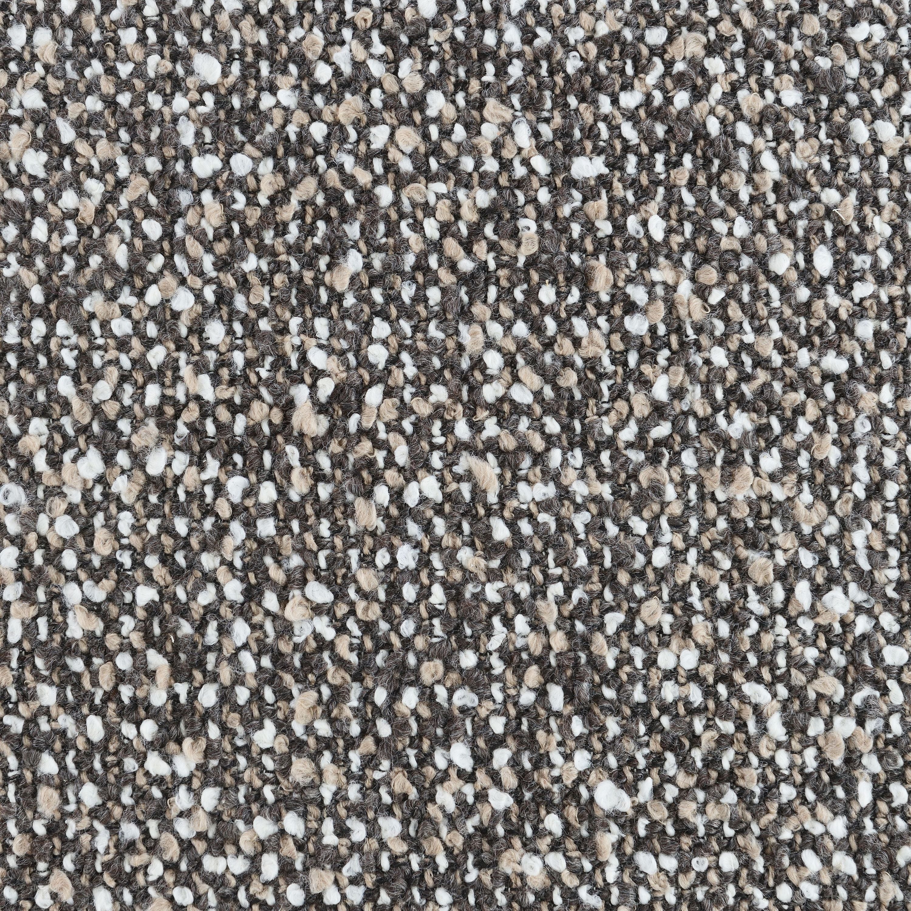 20323631
