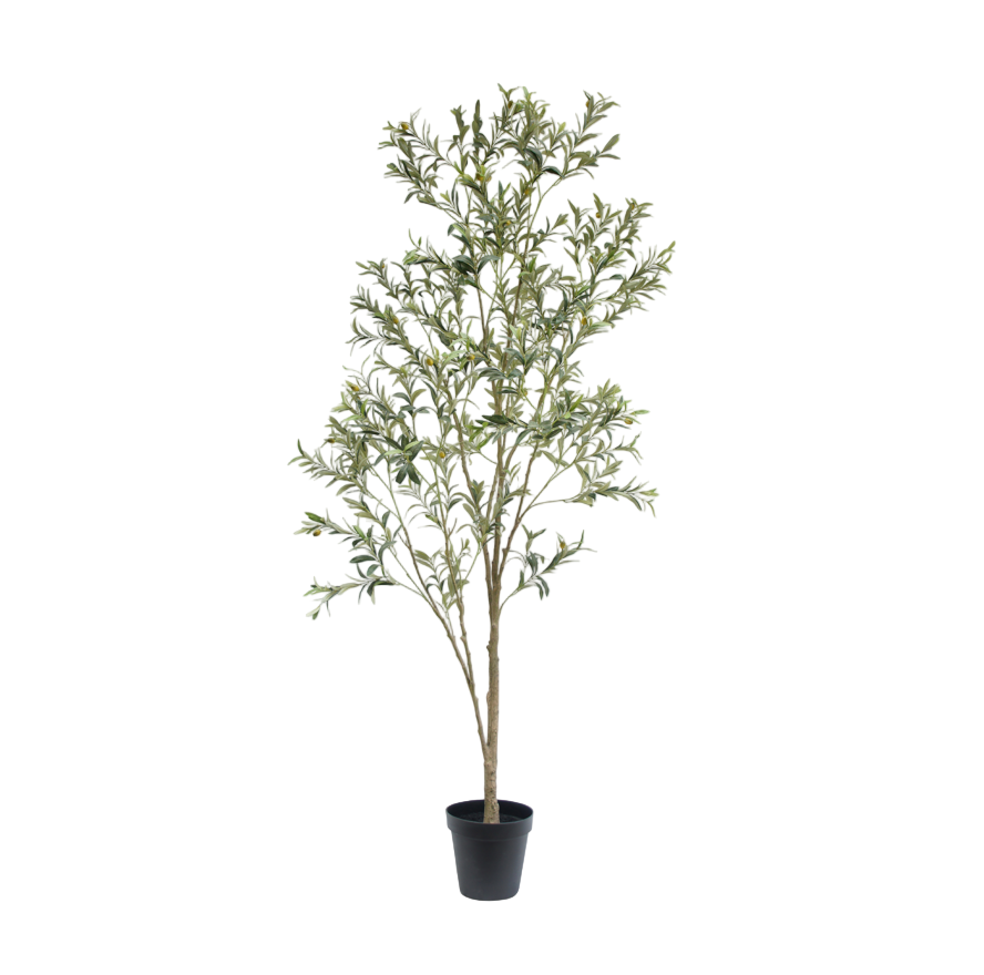 Faux Wispy Olive Tree, 7 ft