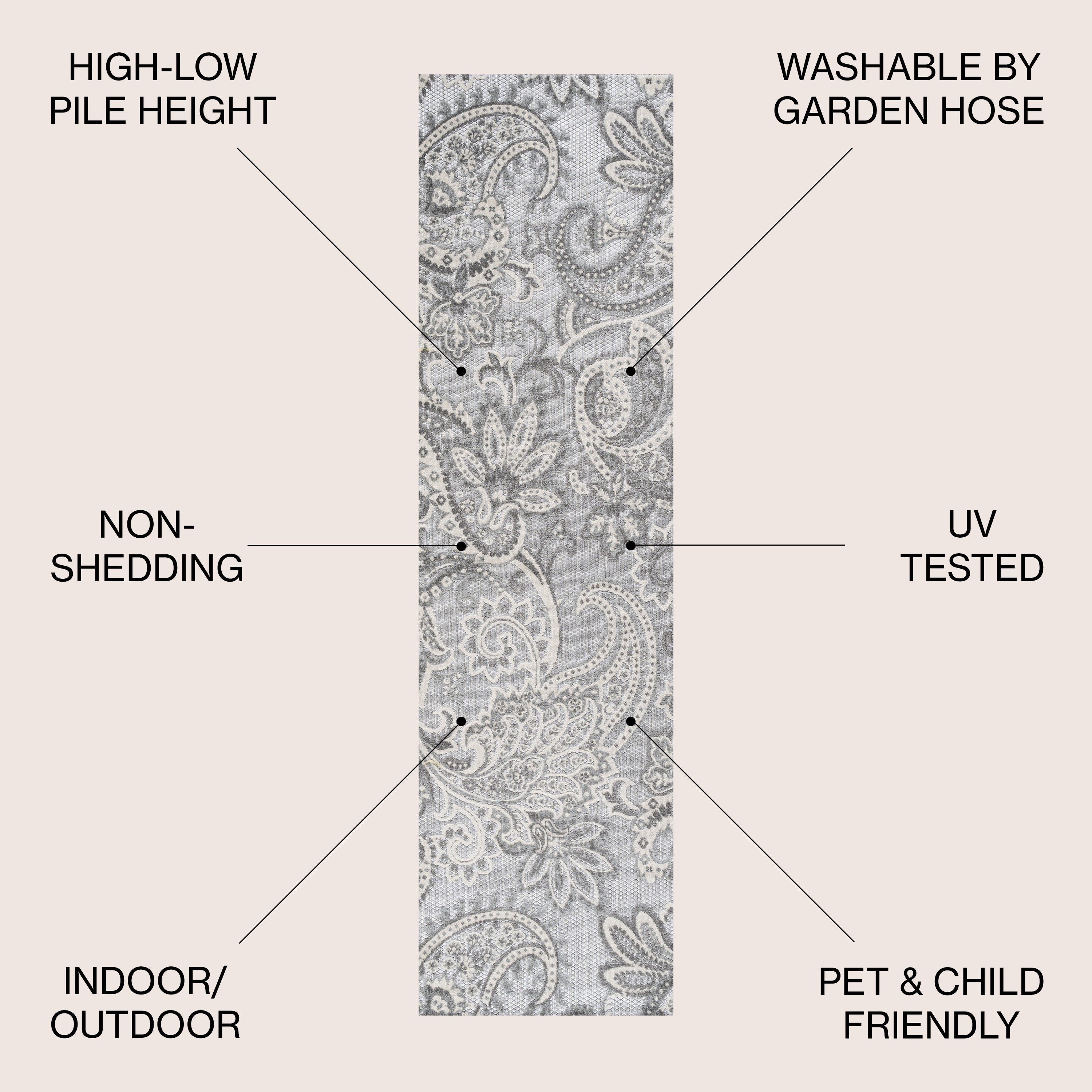 Gordes Paisley High-Low Indoor/Outdoor Area Rug