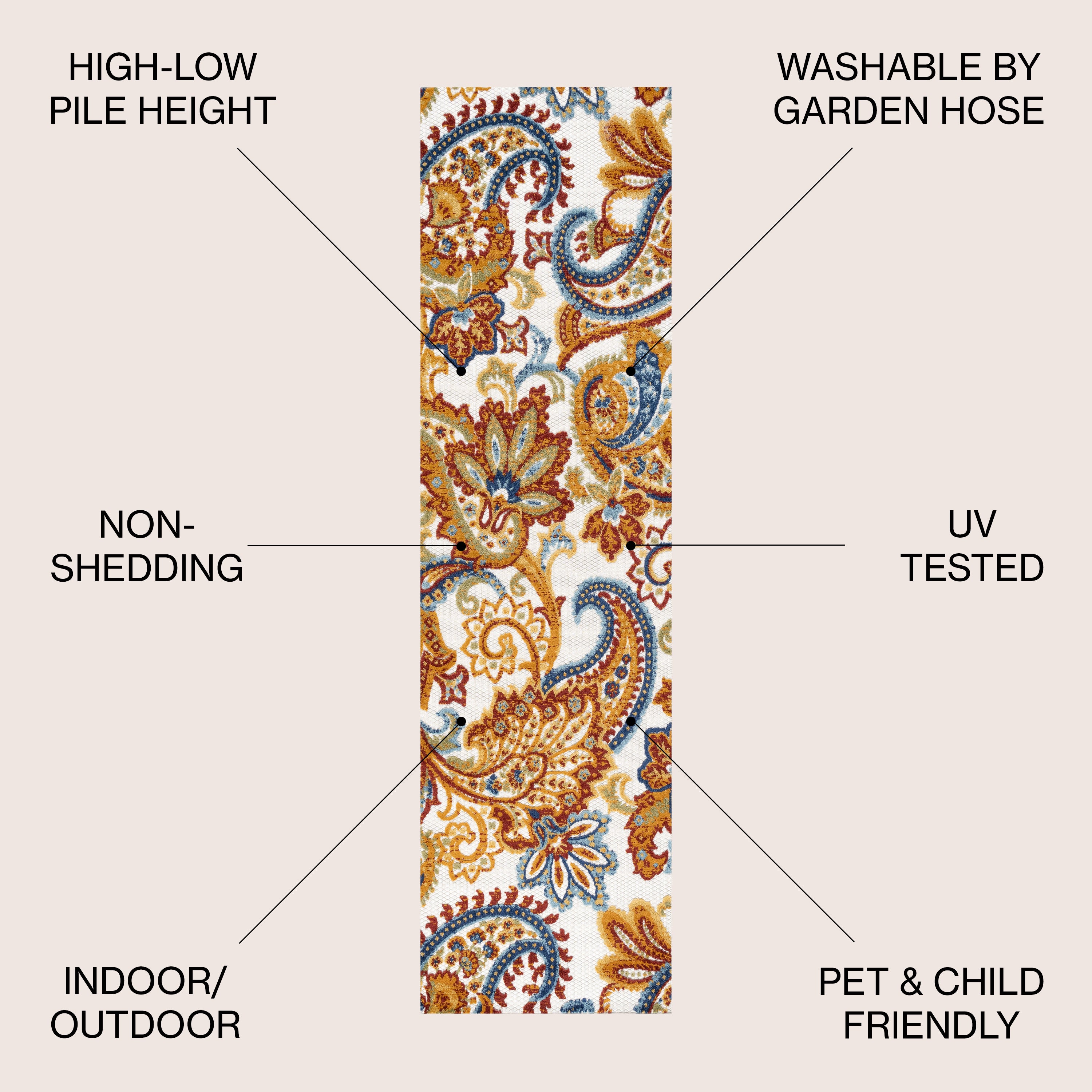 Gordes Paisley High-Low Indoor/Outdoor Area Rug